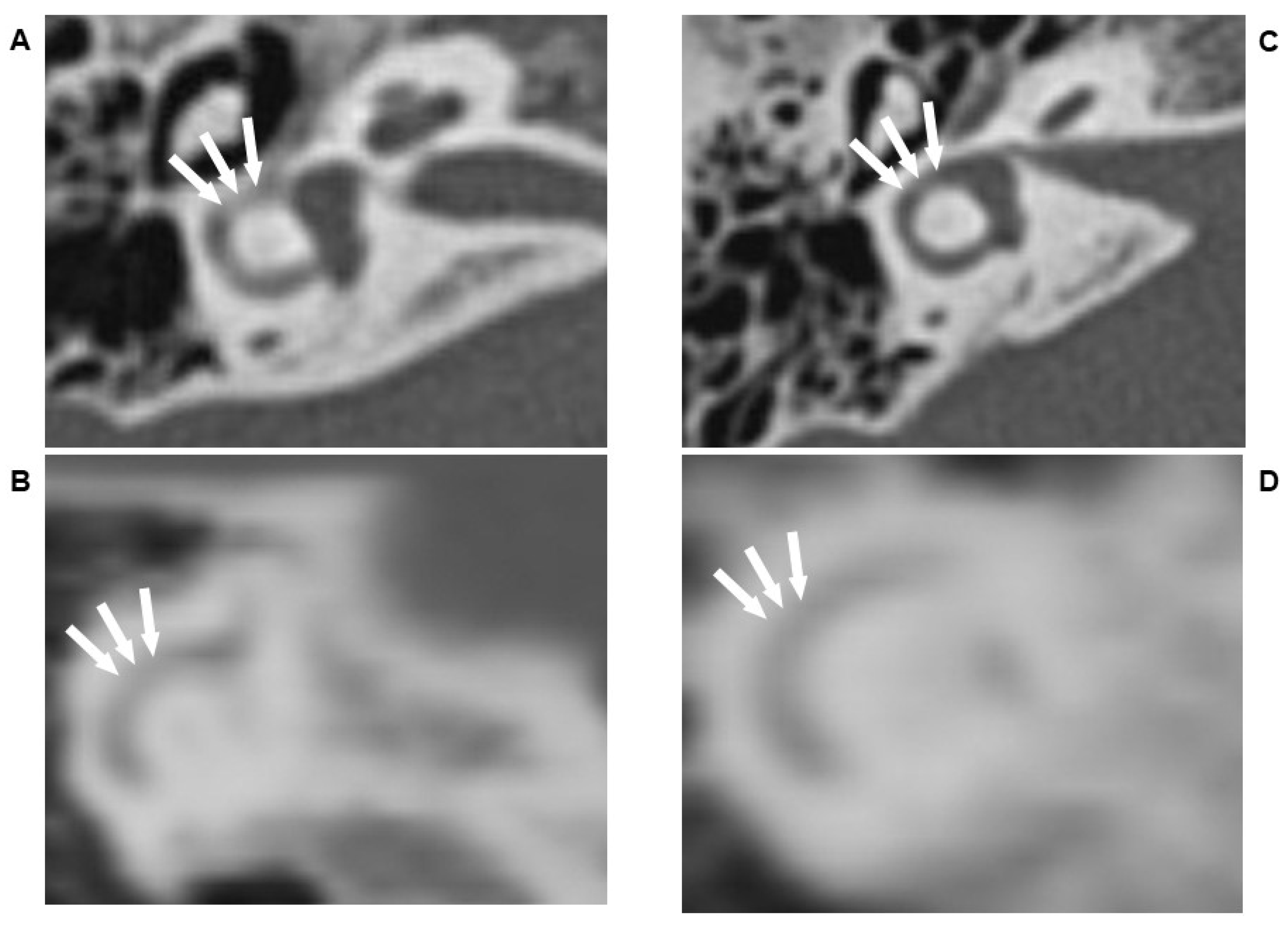 Diagnostics 12 01000 g001 550