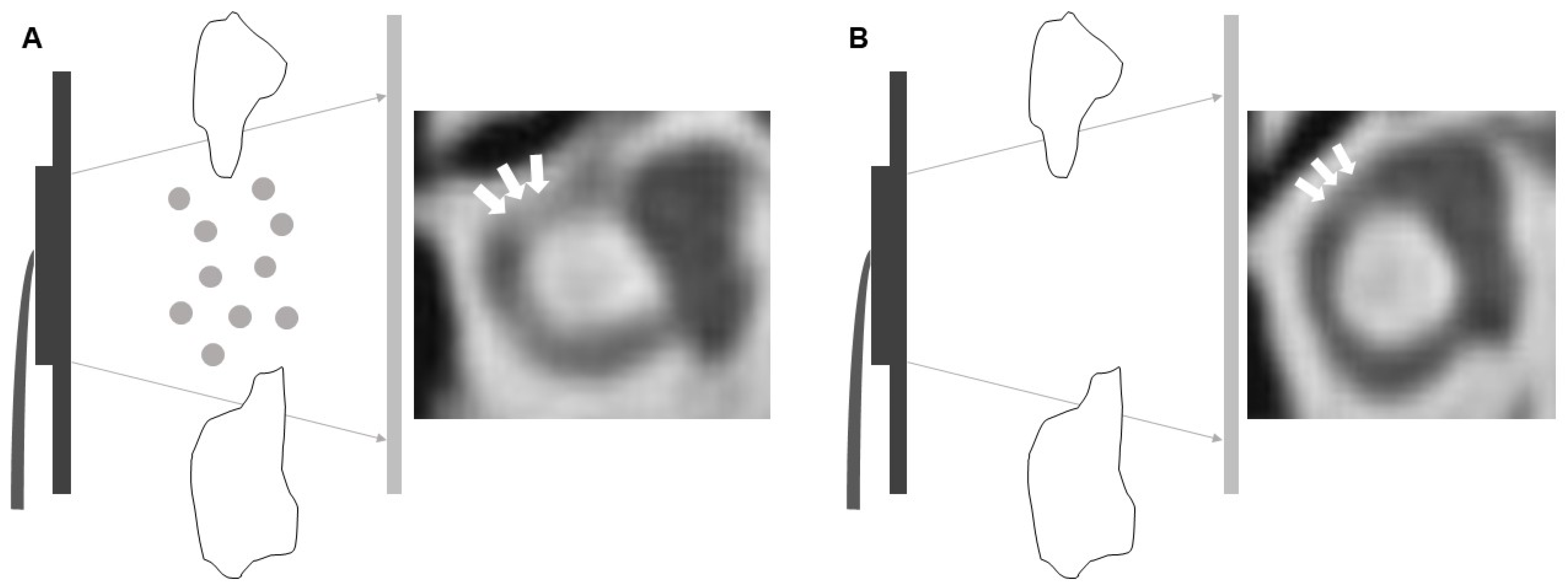 Diagnostics 12 01000 g002 550