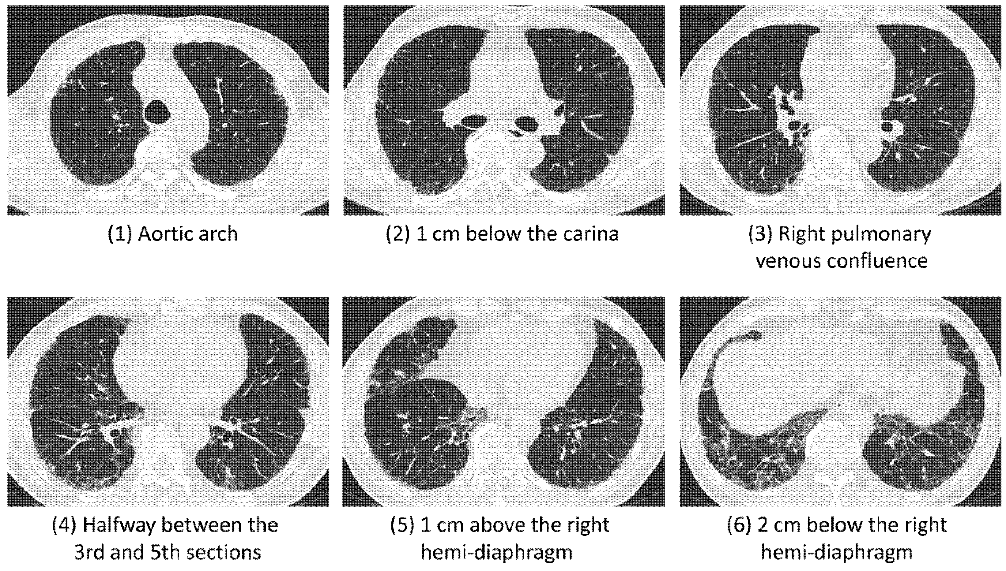Diagnostics 12 01002 g001