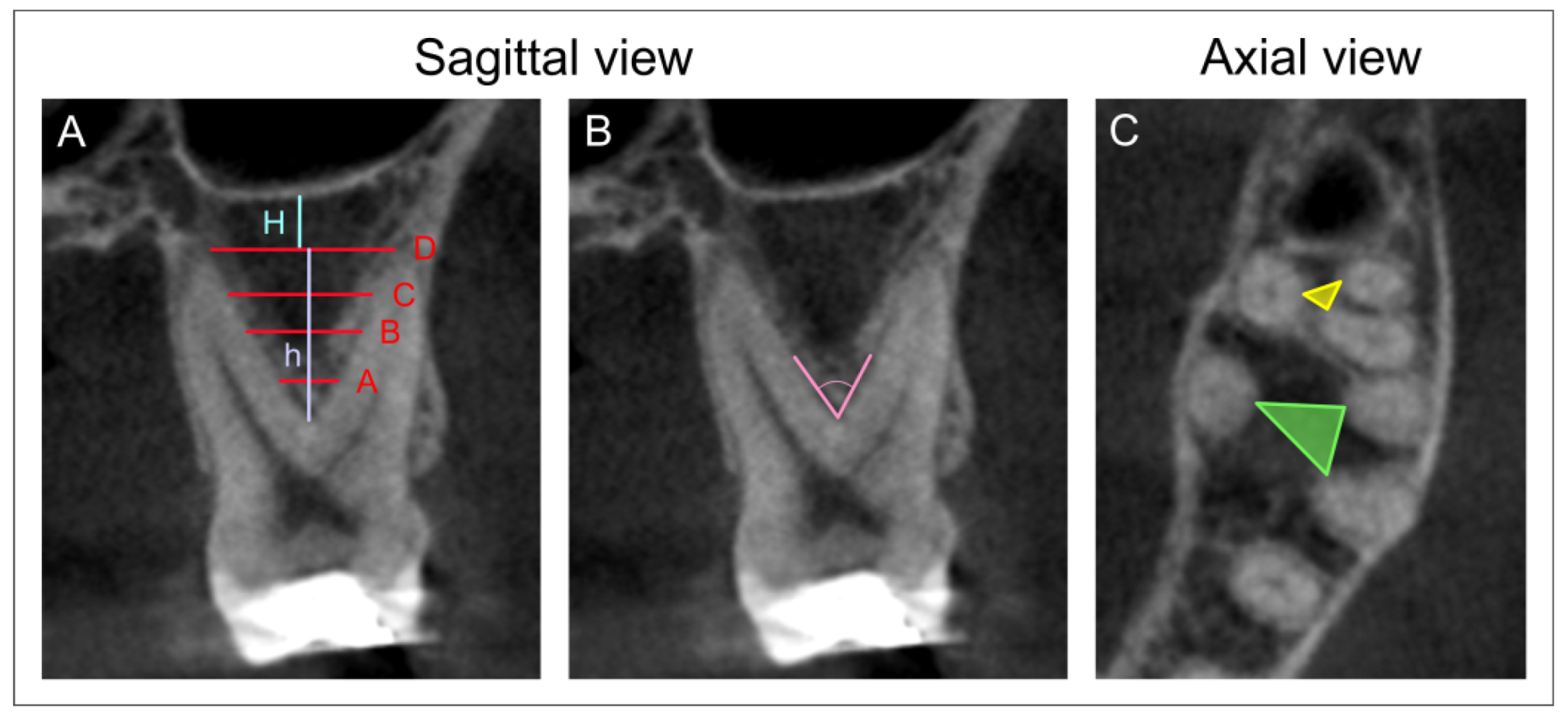 Diagnostics 12 01010 g001