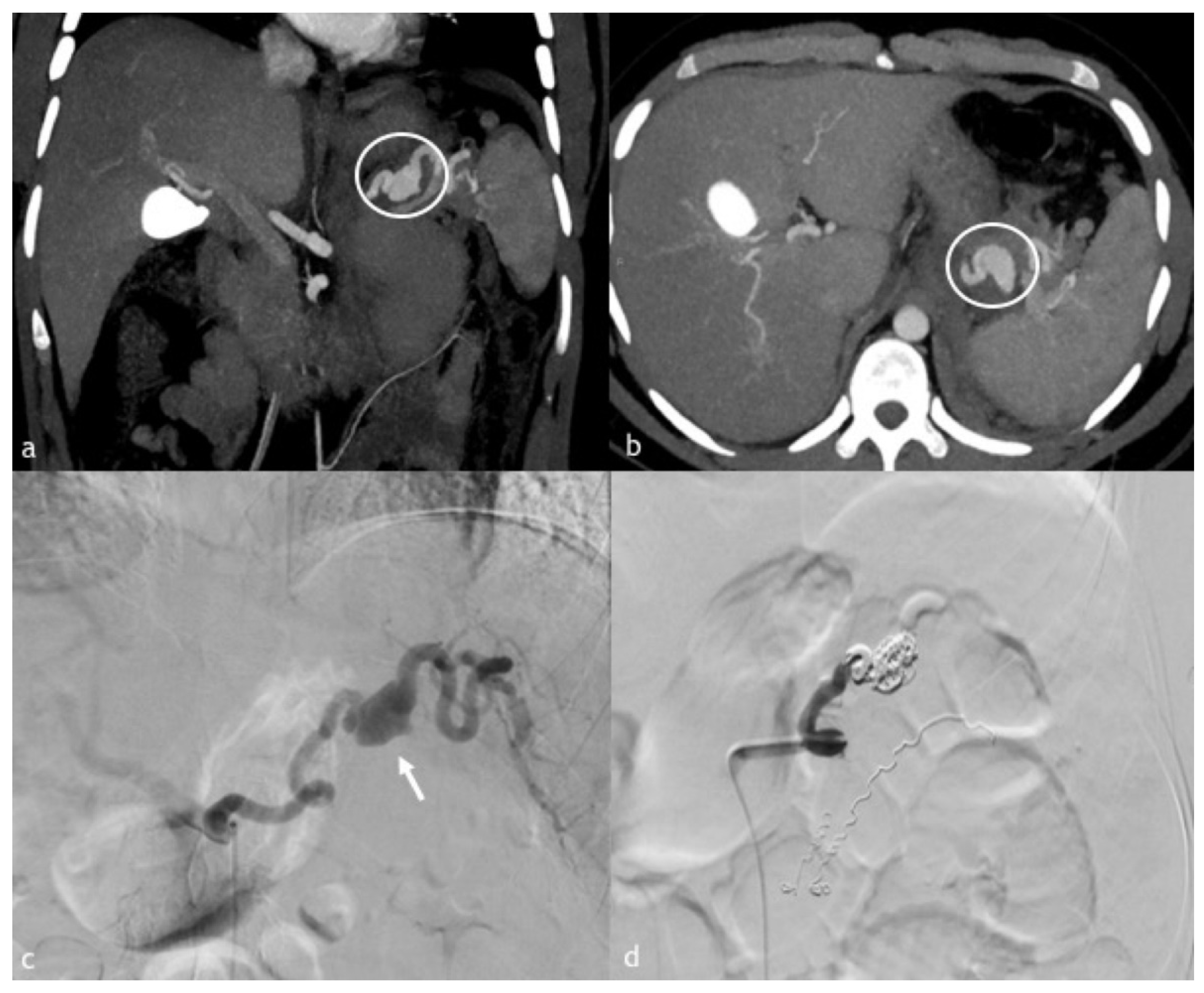 Diagnostics 12 01012 g002