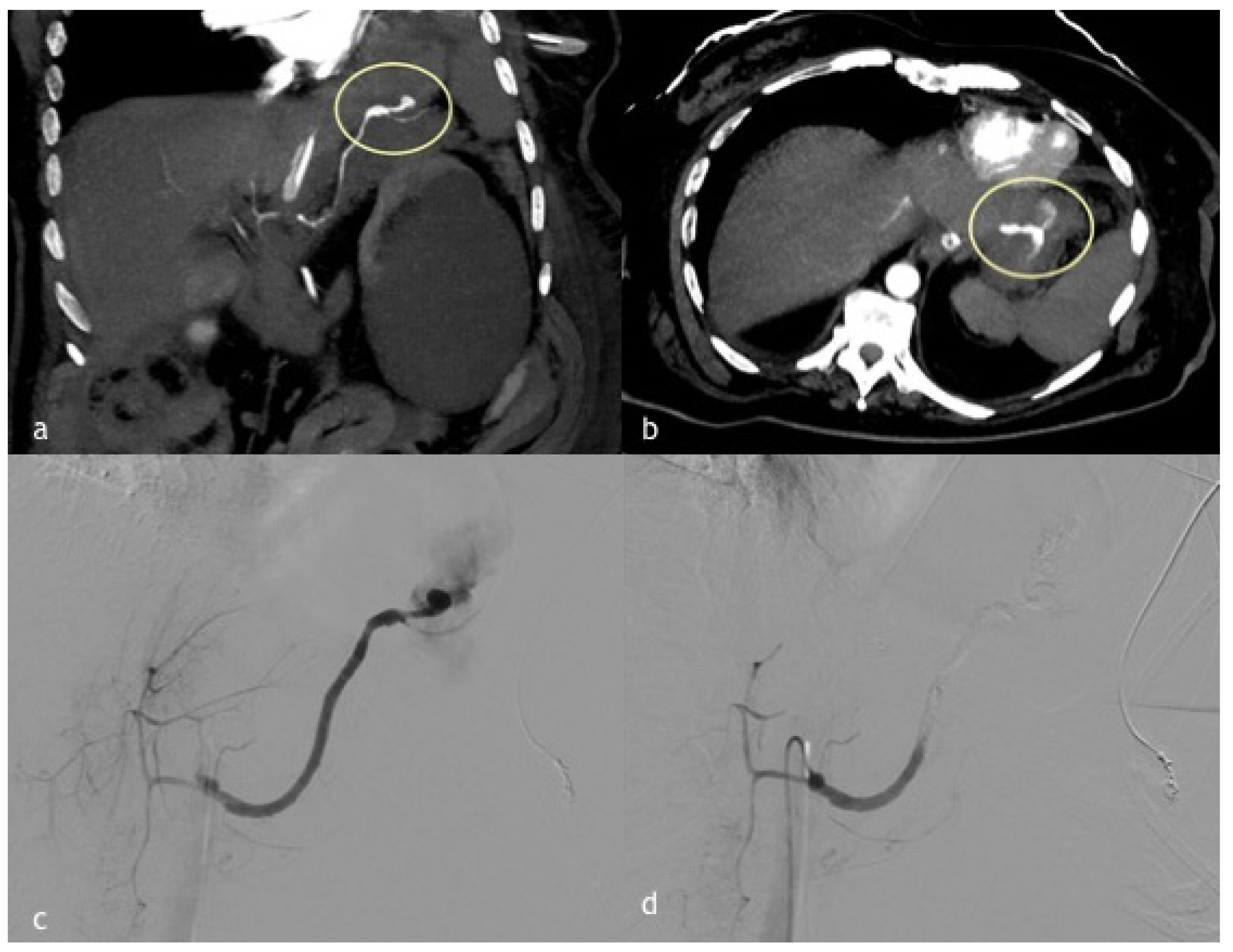 Diagnostics 12 01012 g003