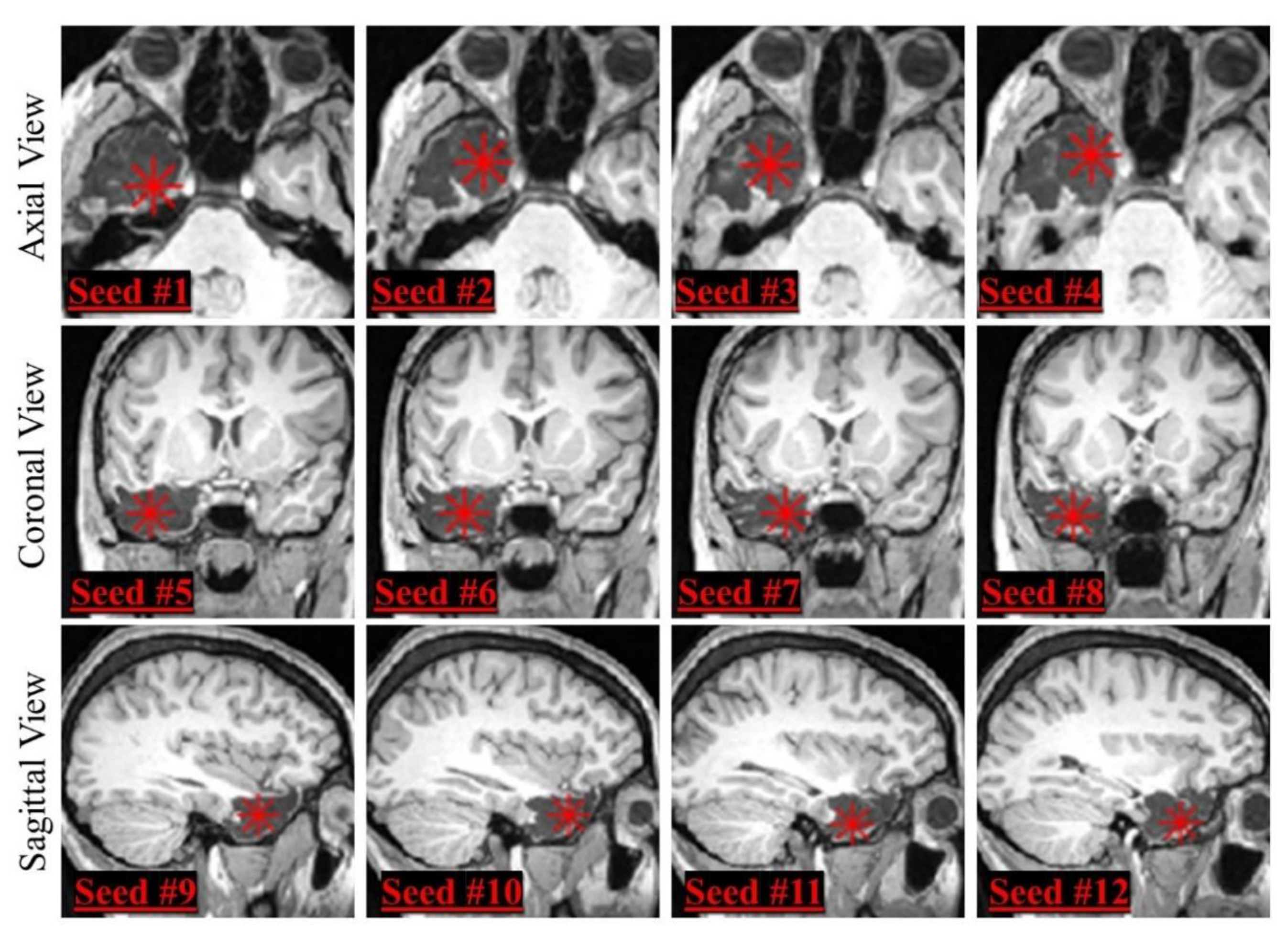 Diagnostics 12 01017 g002