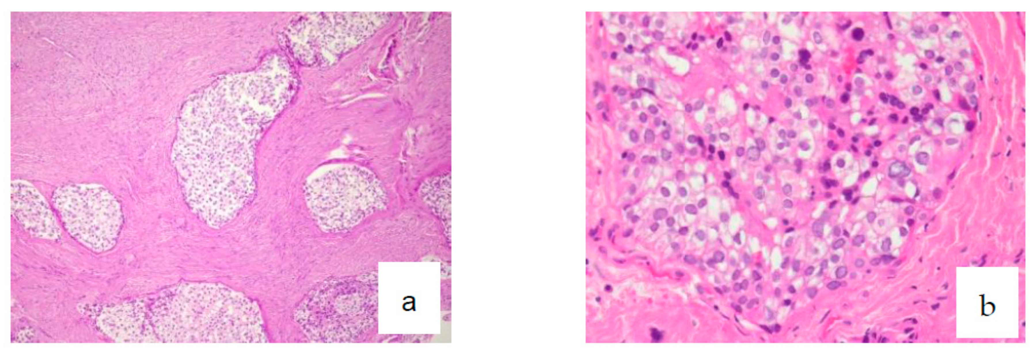 Diagnostics 12 01019 g003