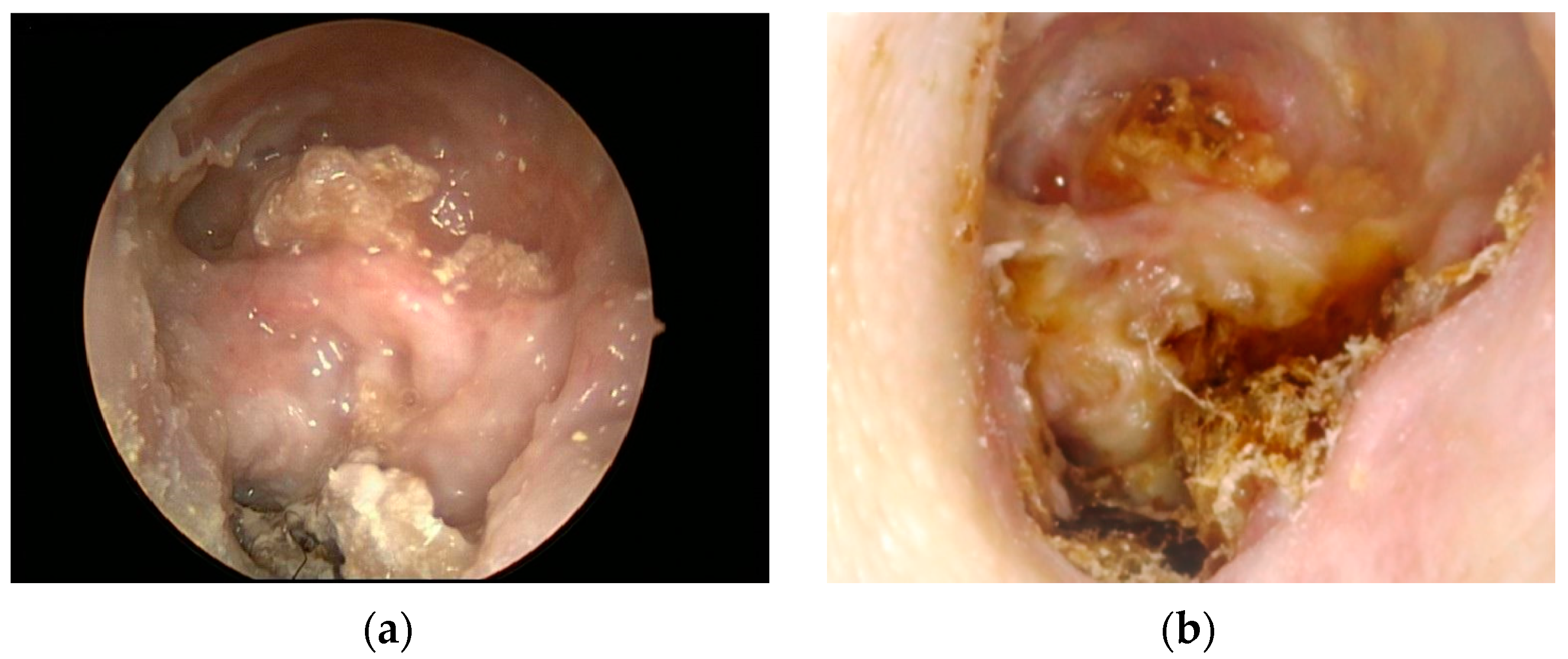 Diagnostics 12 01021 g001