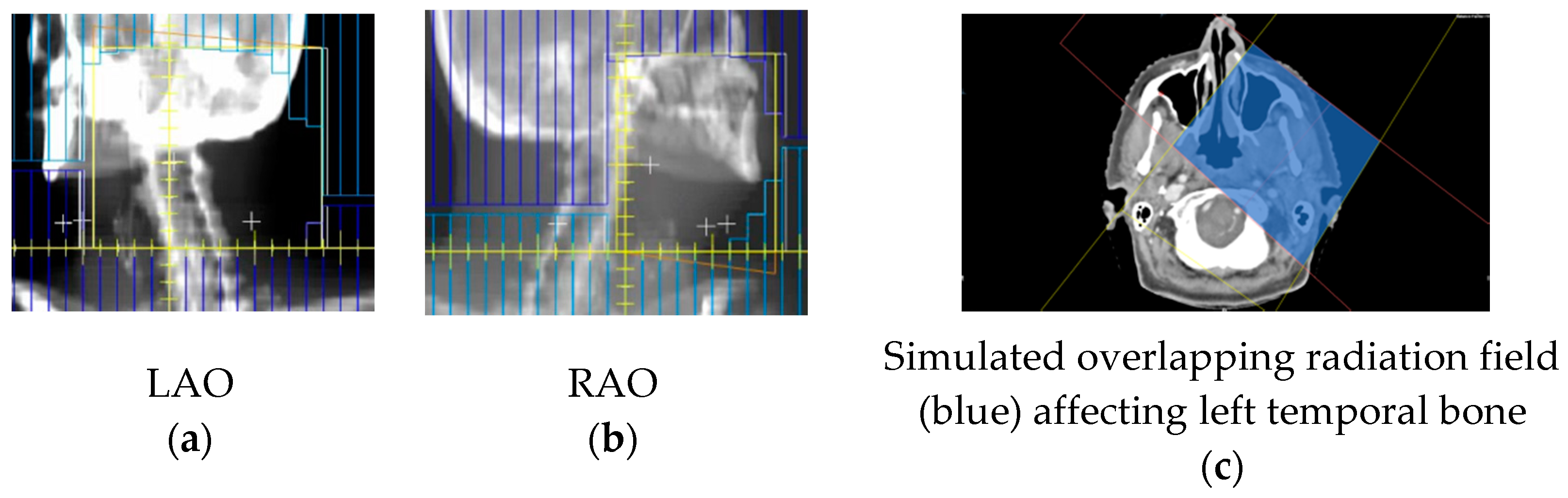 Diagnostics 12 01021 g002
