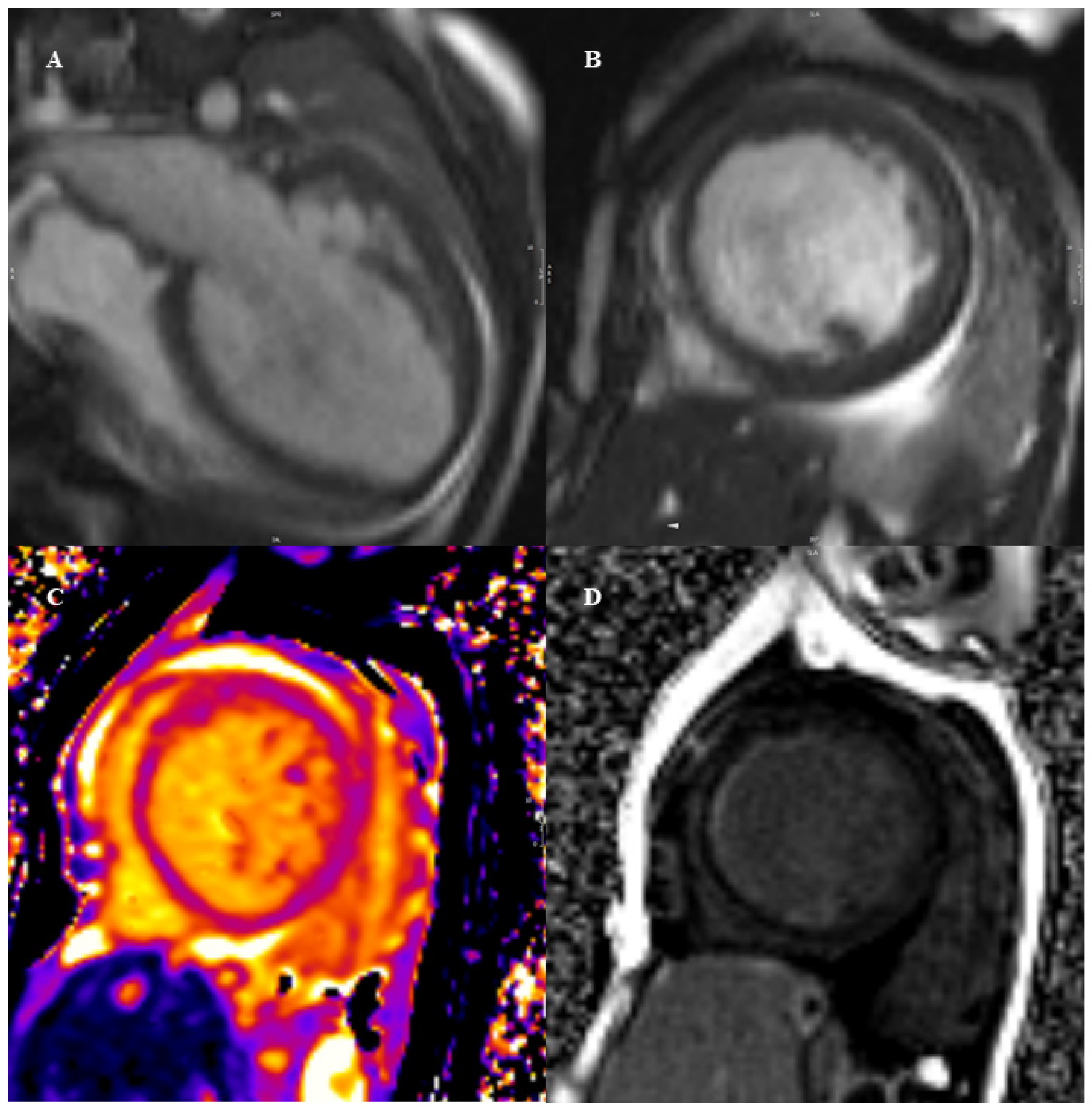 Diagnostics 12 01022 g001