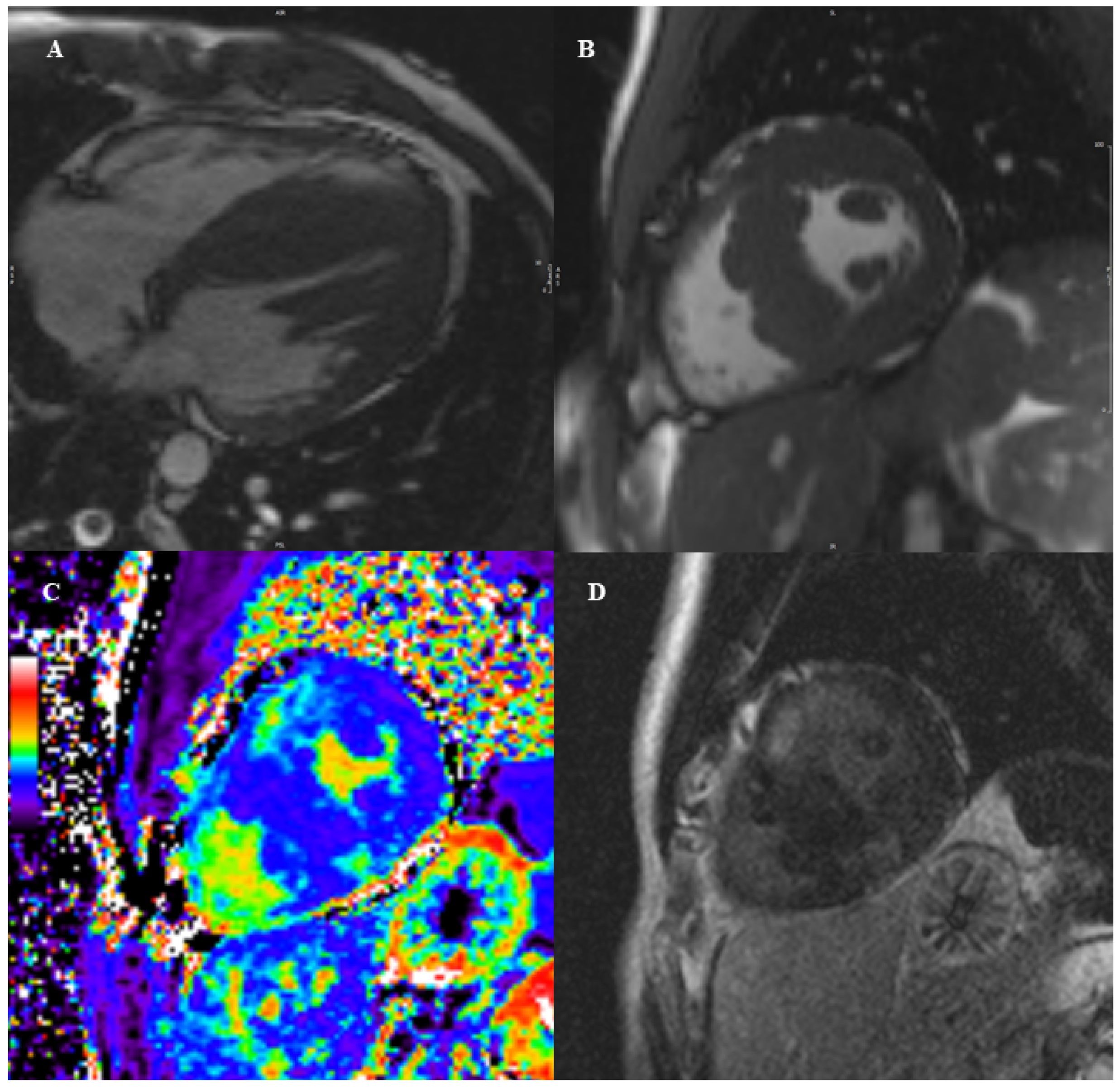 Diagnostics 12 01022 g002