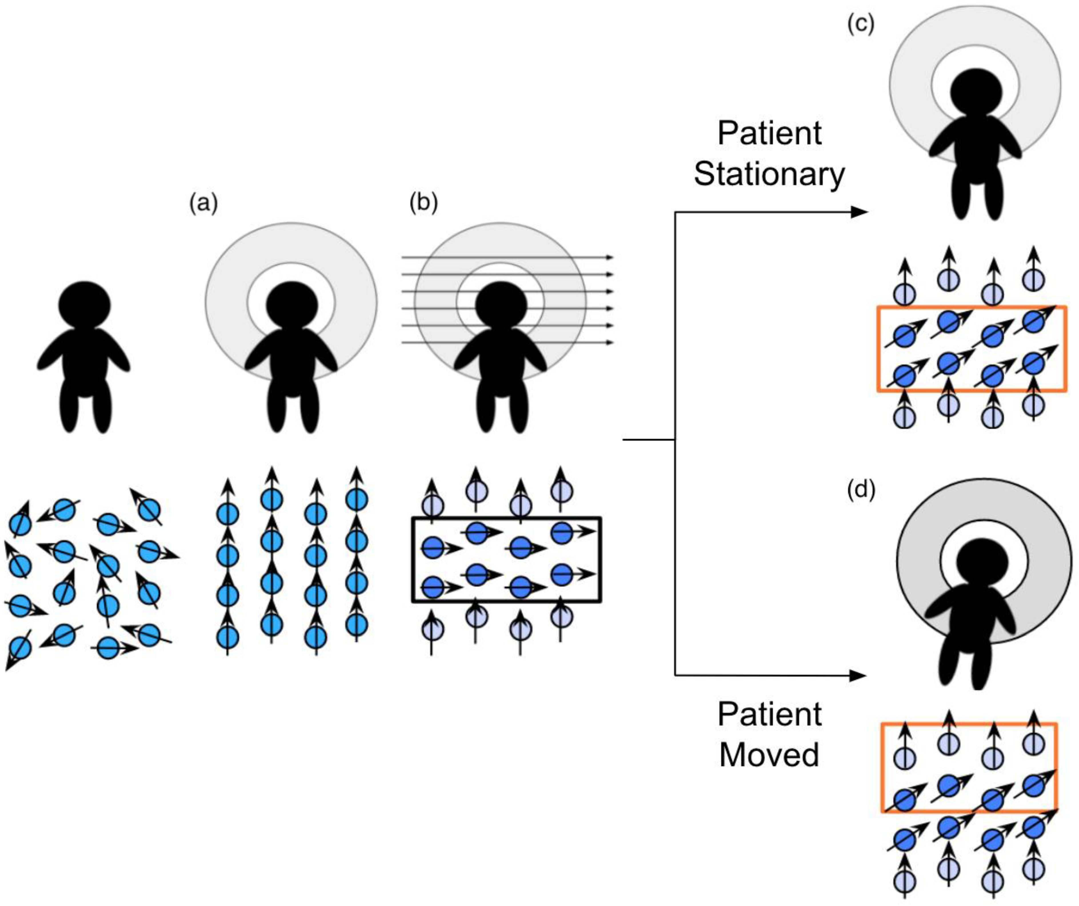Diagnostics 12 01032 g002