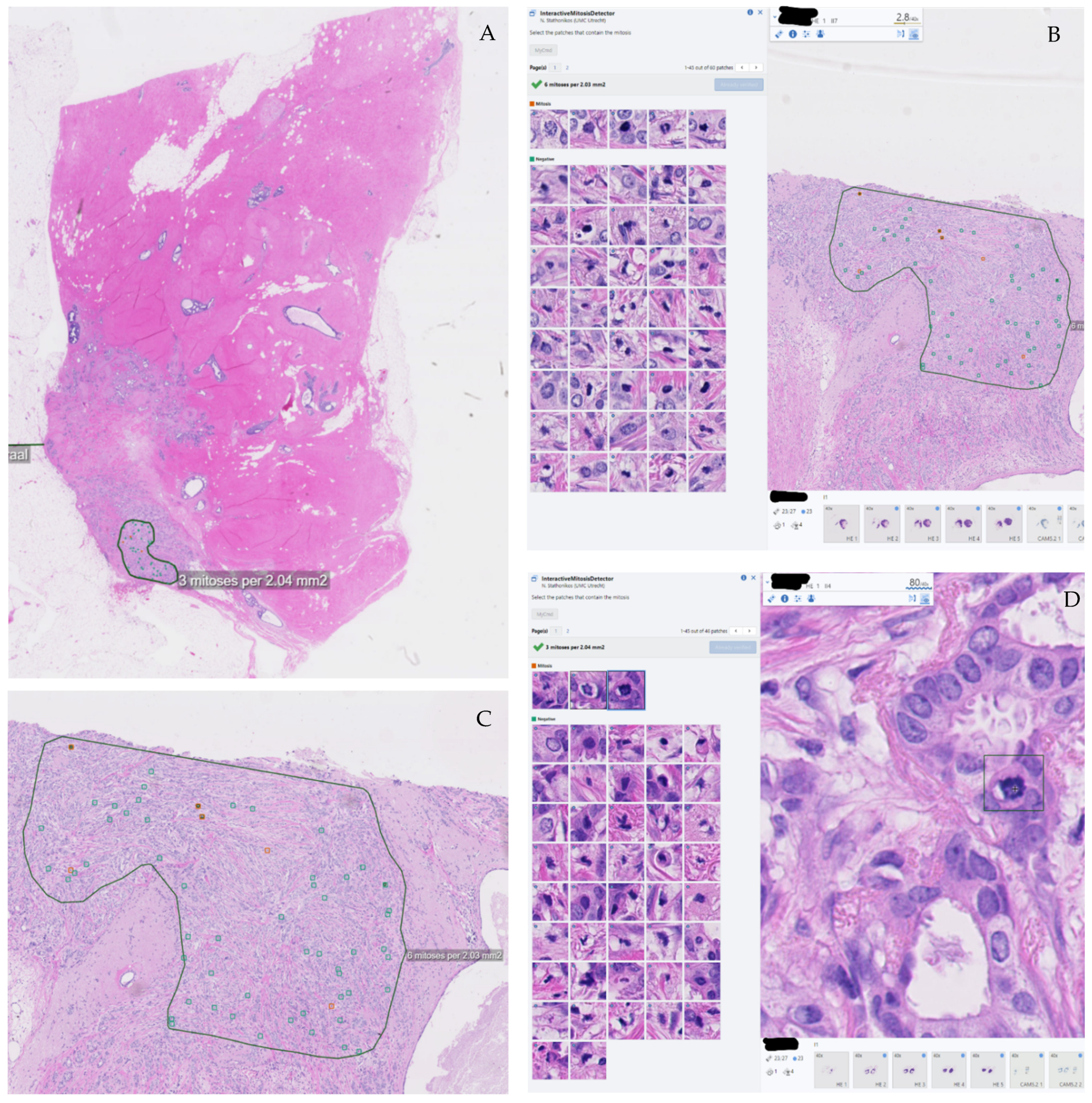 Diagnostics 12 01042 g001 550
