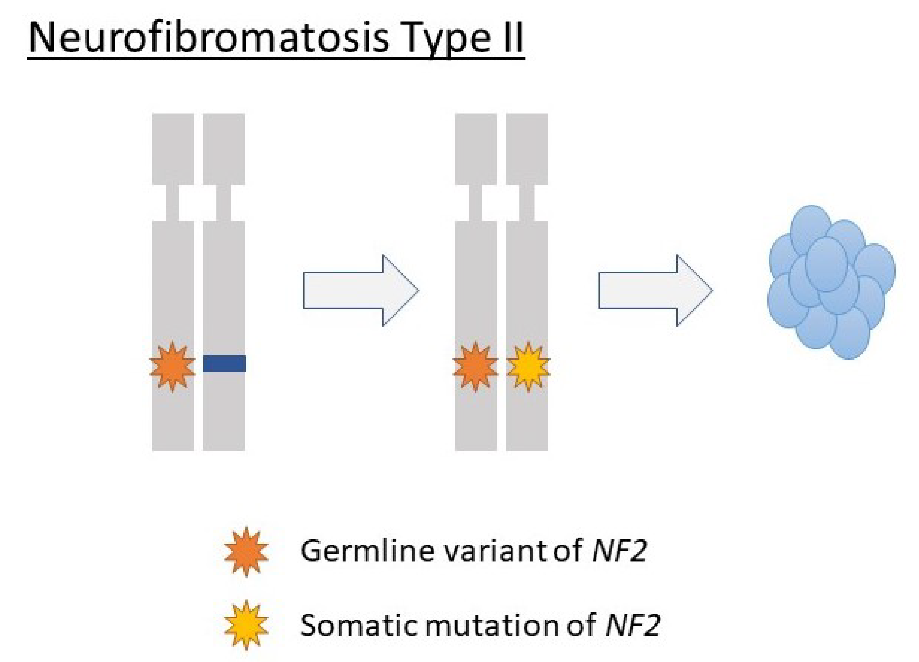 Diagnostics 12 01044 g003 550