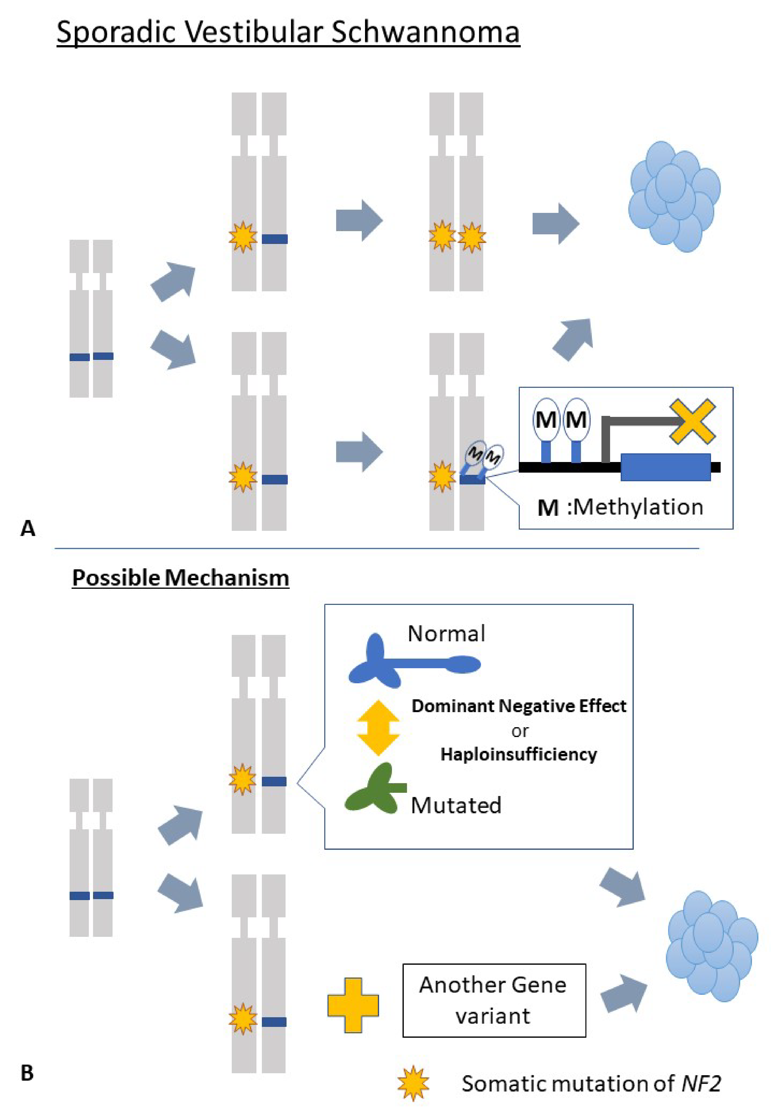 Diagnostics 12 01044 g004 550