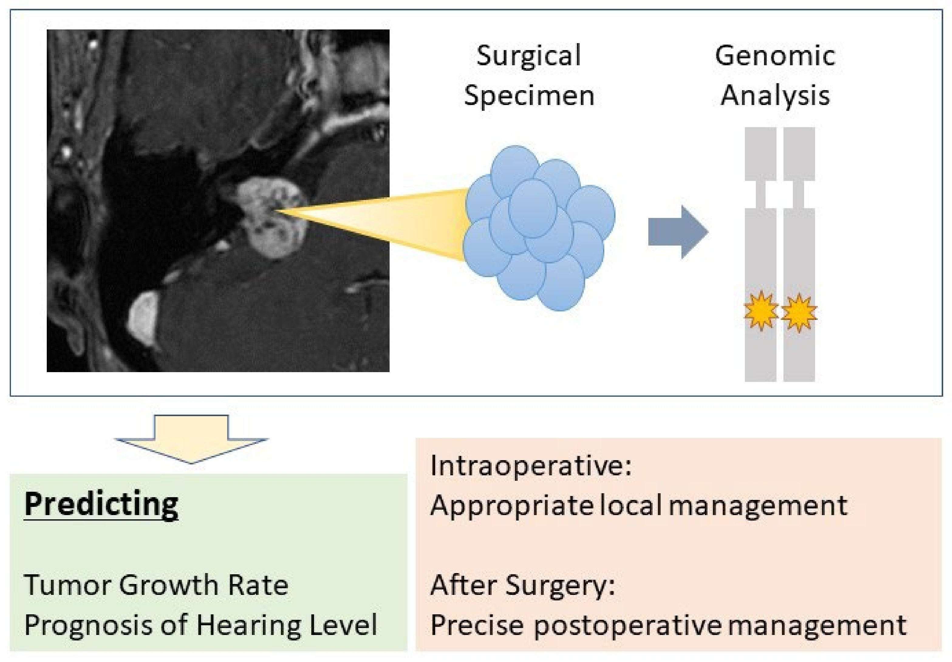 Diagnostics 12 01044 g005 550