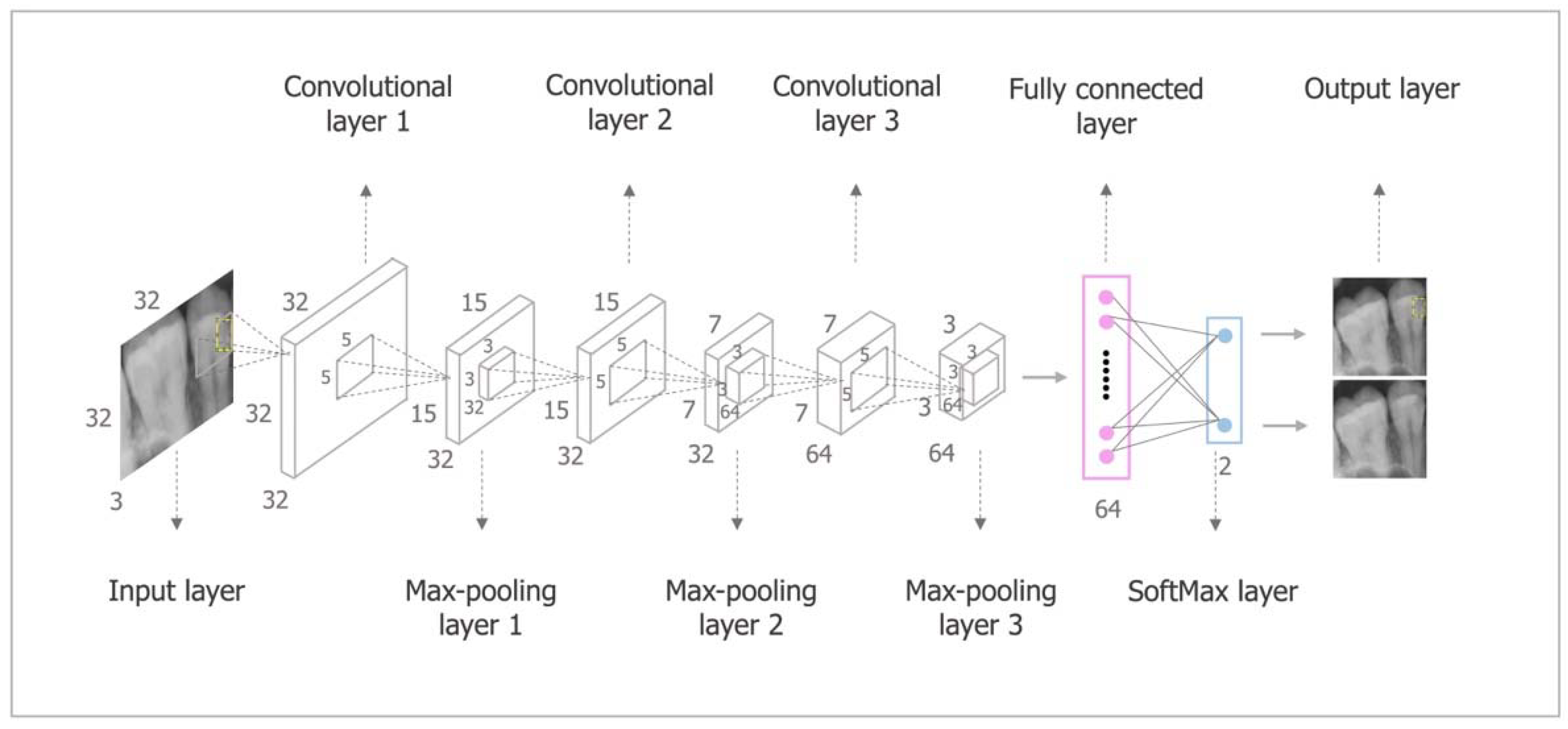 Diagnostics 12 01047 g002