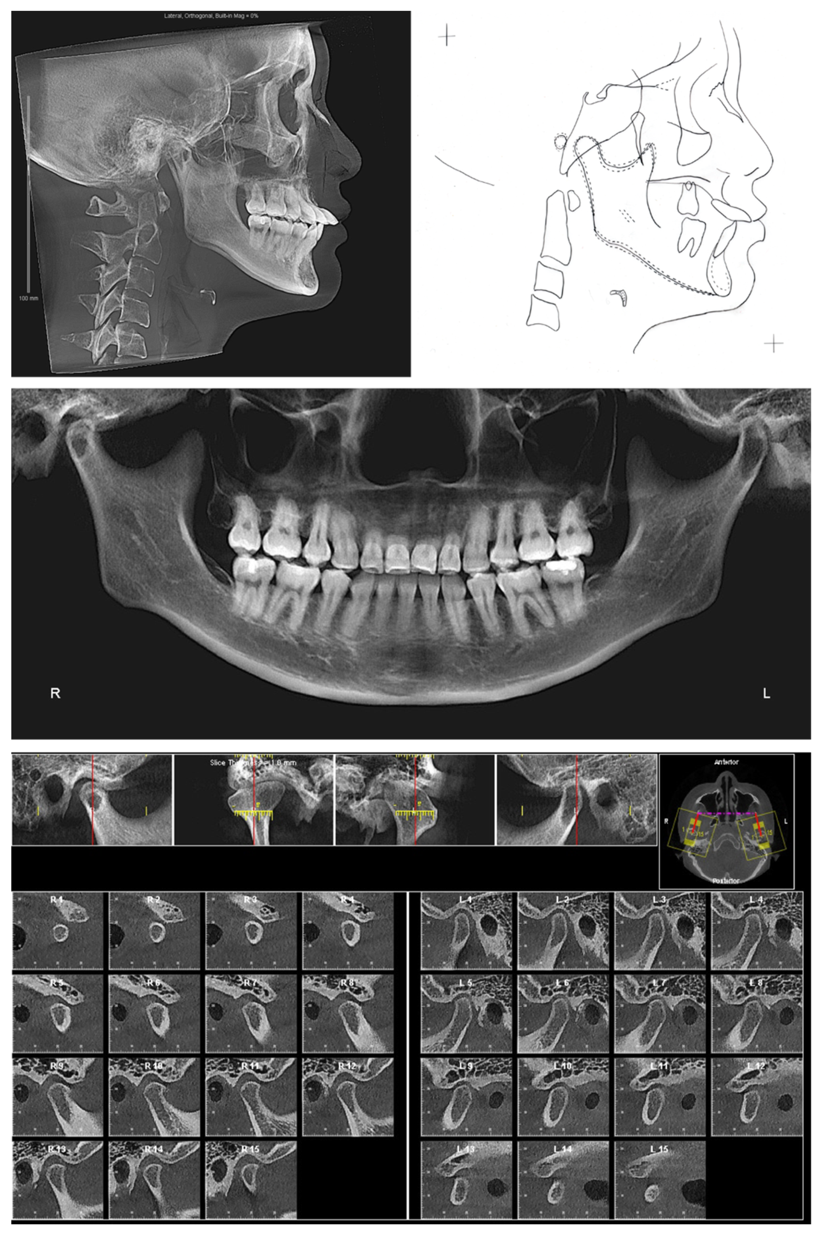 Diagnostics 12 01055 g002