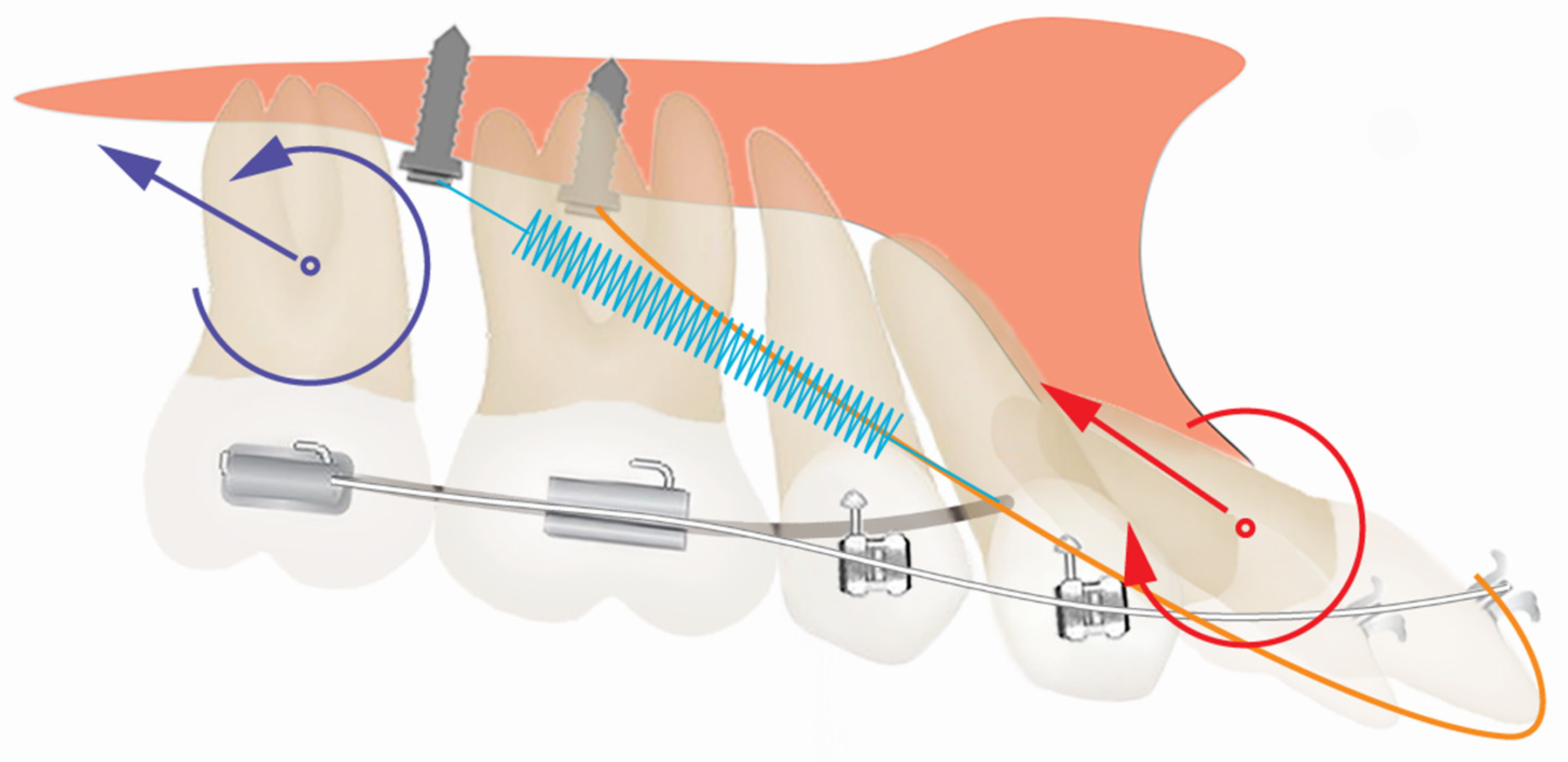 Diagnostics 12 01055 g005