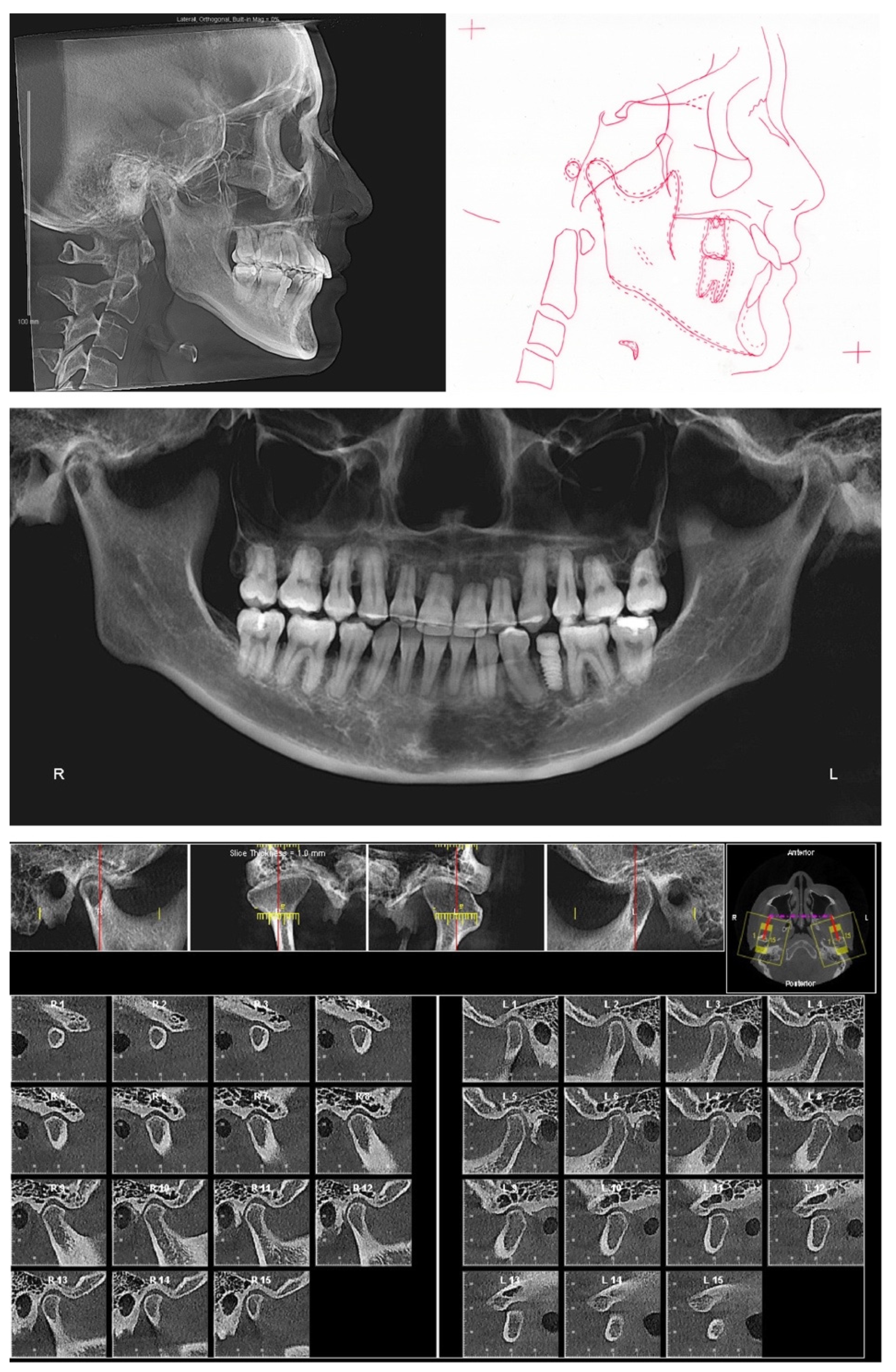 Diagnostics 12 01055 g010