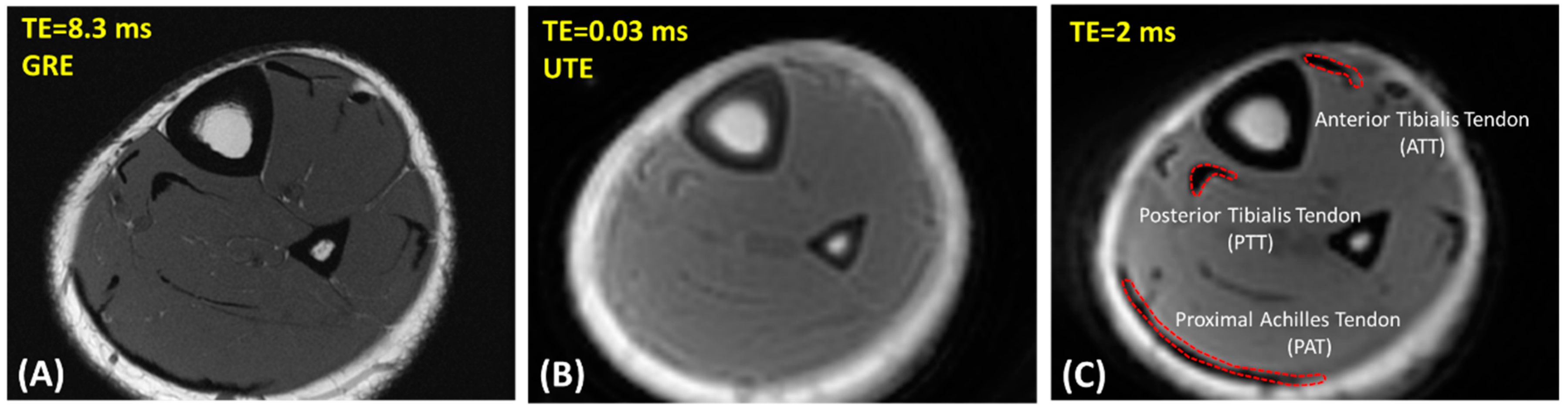 Diagnostics 12 01061 g001