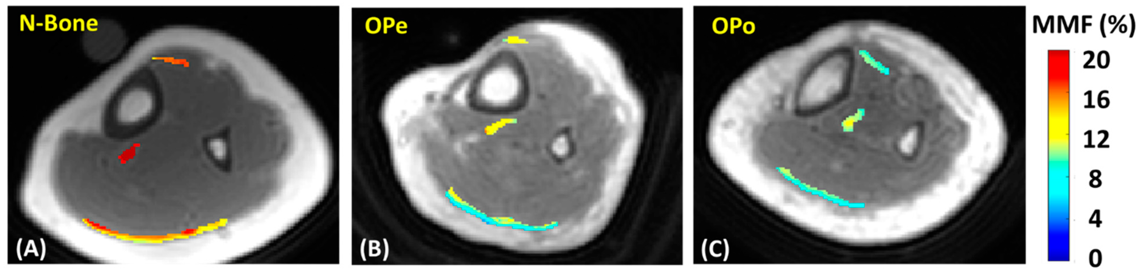 Diagnostics 12 01061 g002