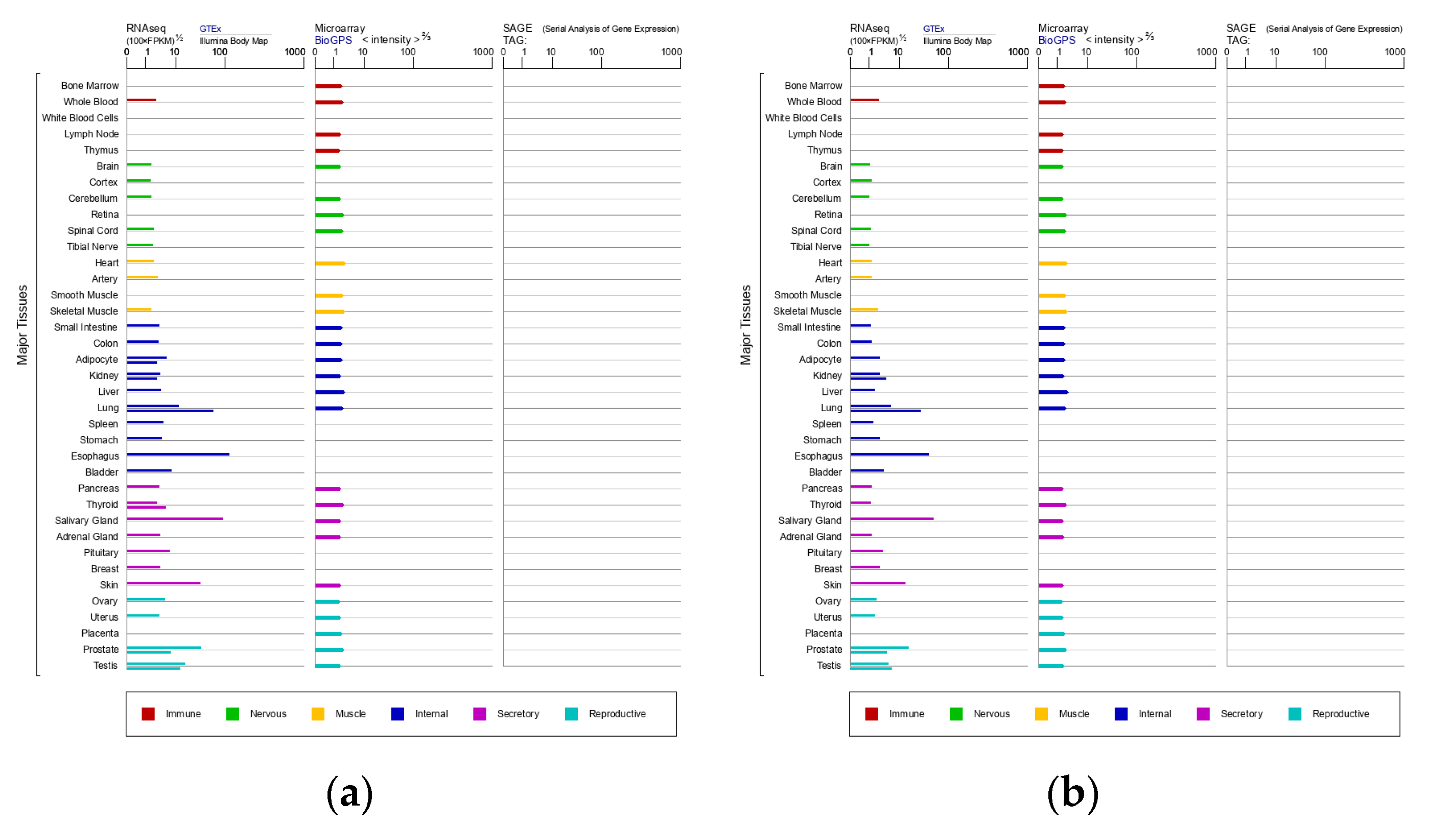 Diagnostics 12 01065 g001 Diagnostics 12 01065 g001