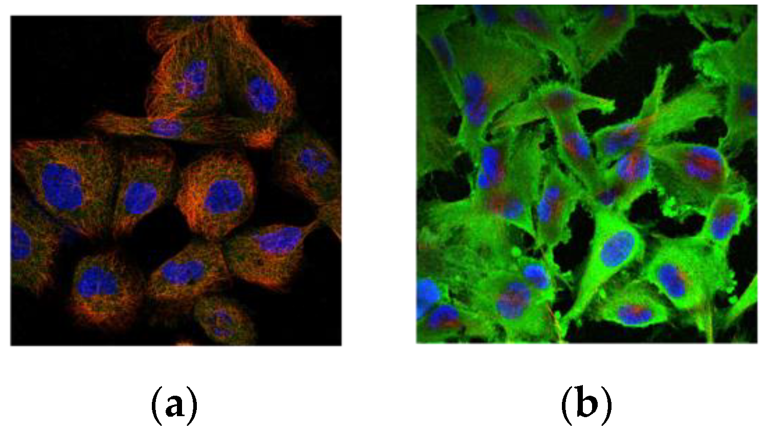 Diagnostics 12 01065 g002 Diagnostics 12 01065 g002