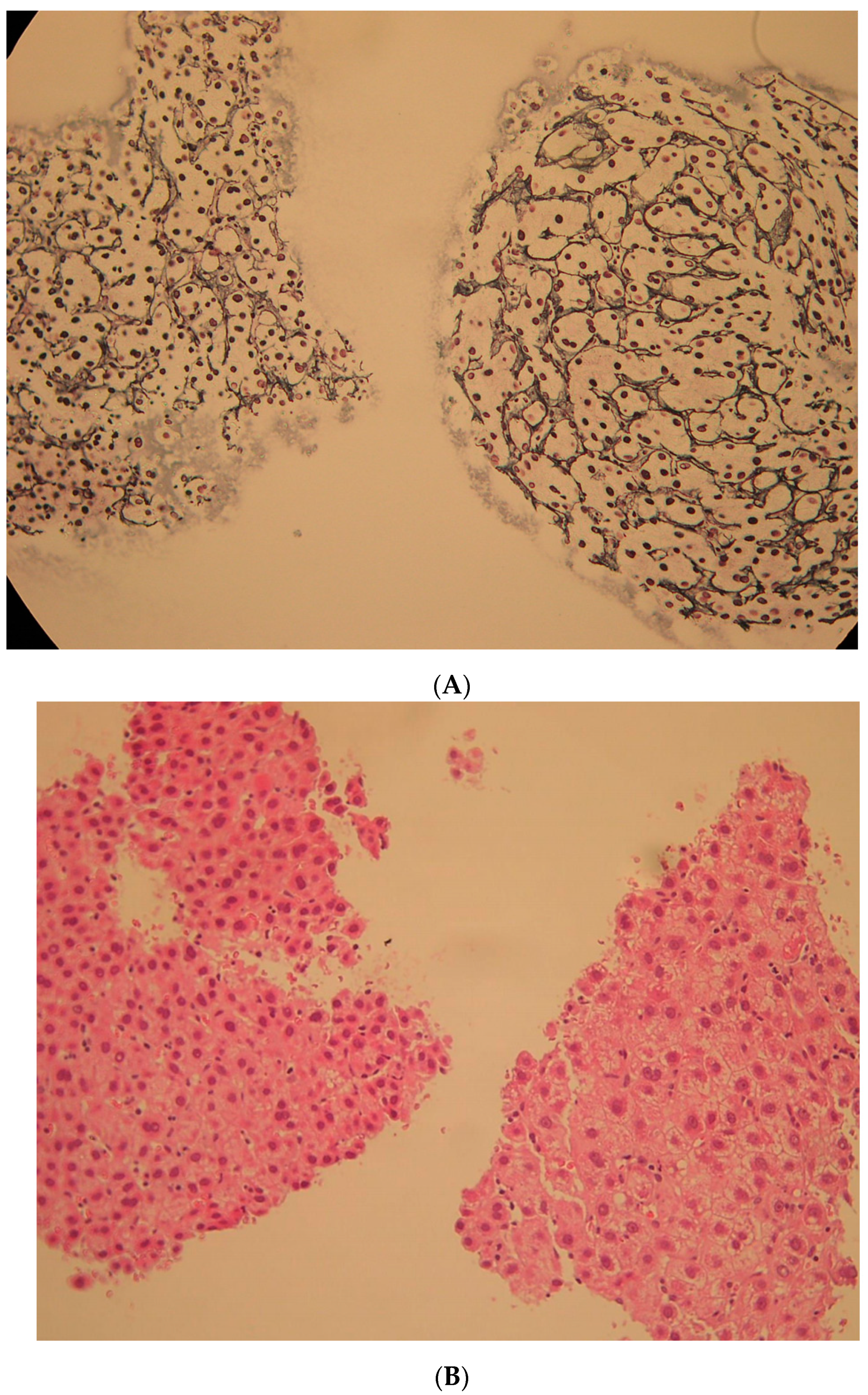 Diagnostics 12 01072 g003a