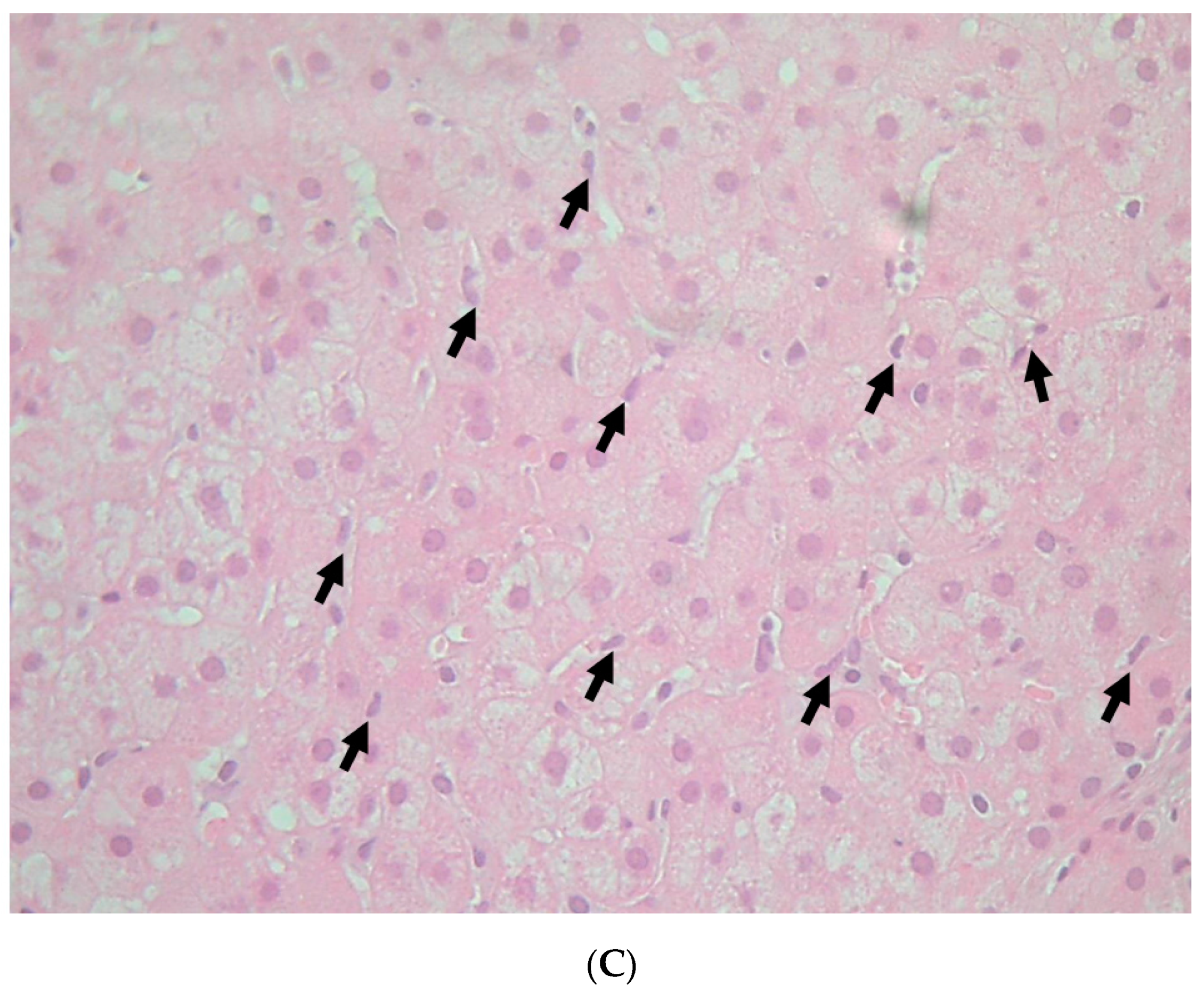 Diagnostics 12 01072 g003b