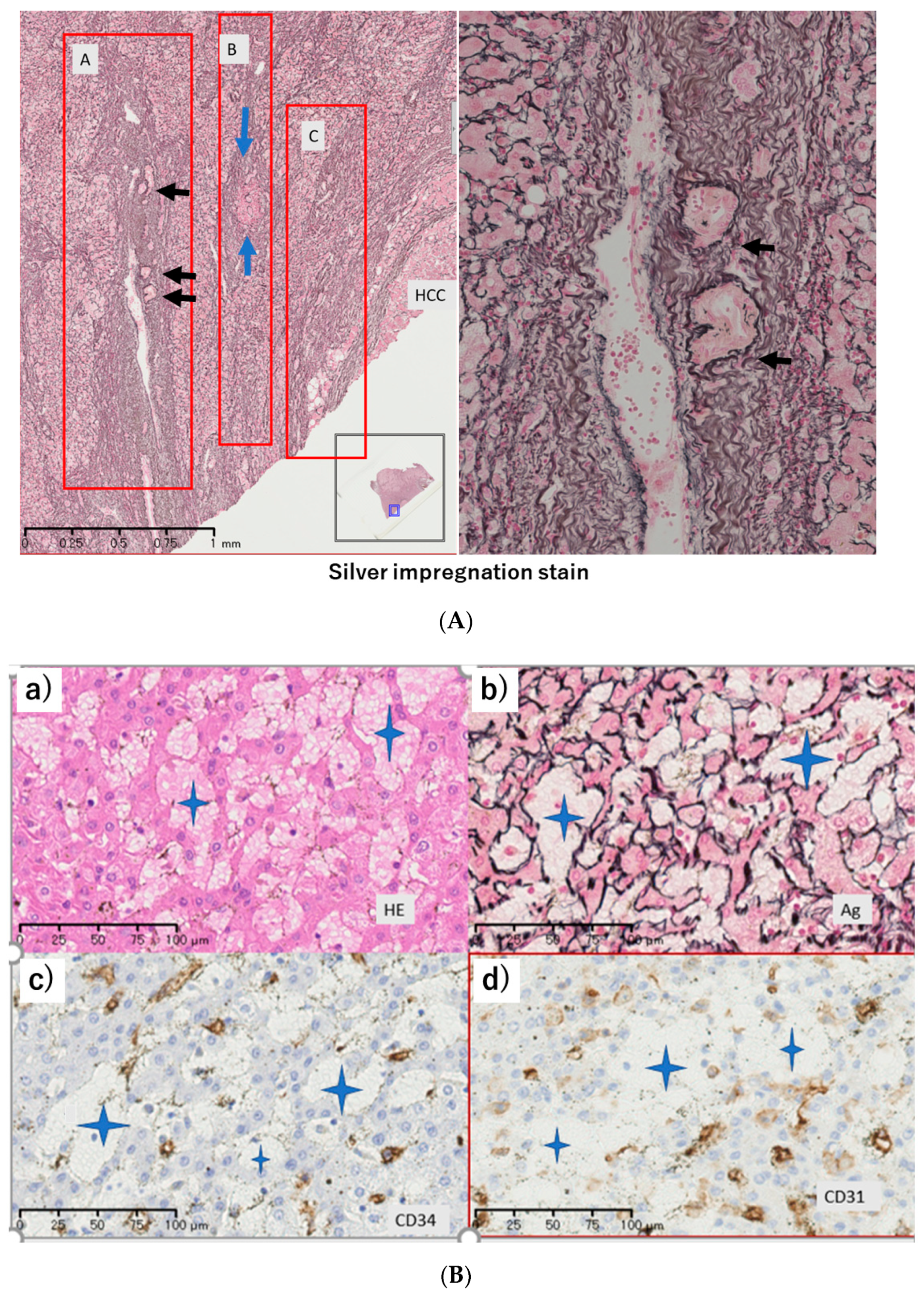 Diagnostics 12 01072 g004a