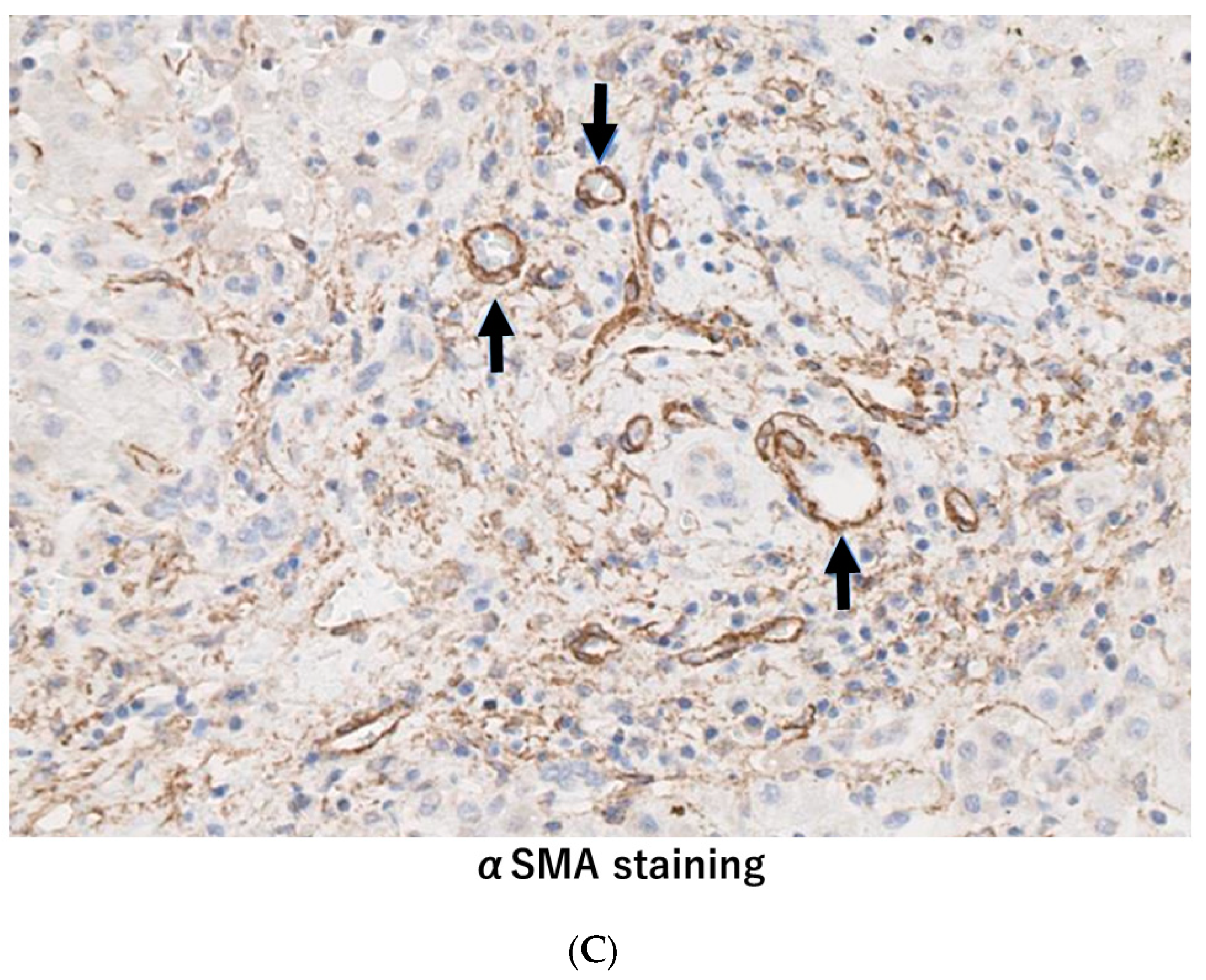 Diagnostics 12 01072 g004b