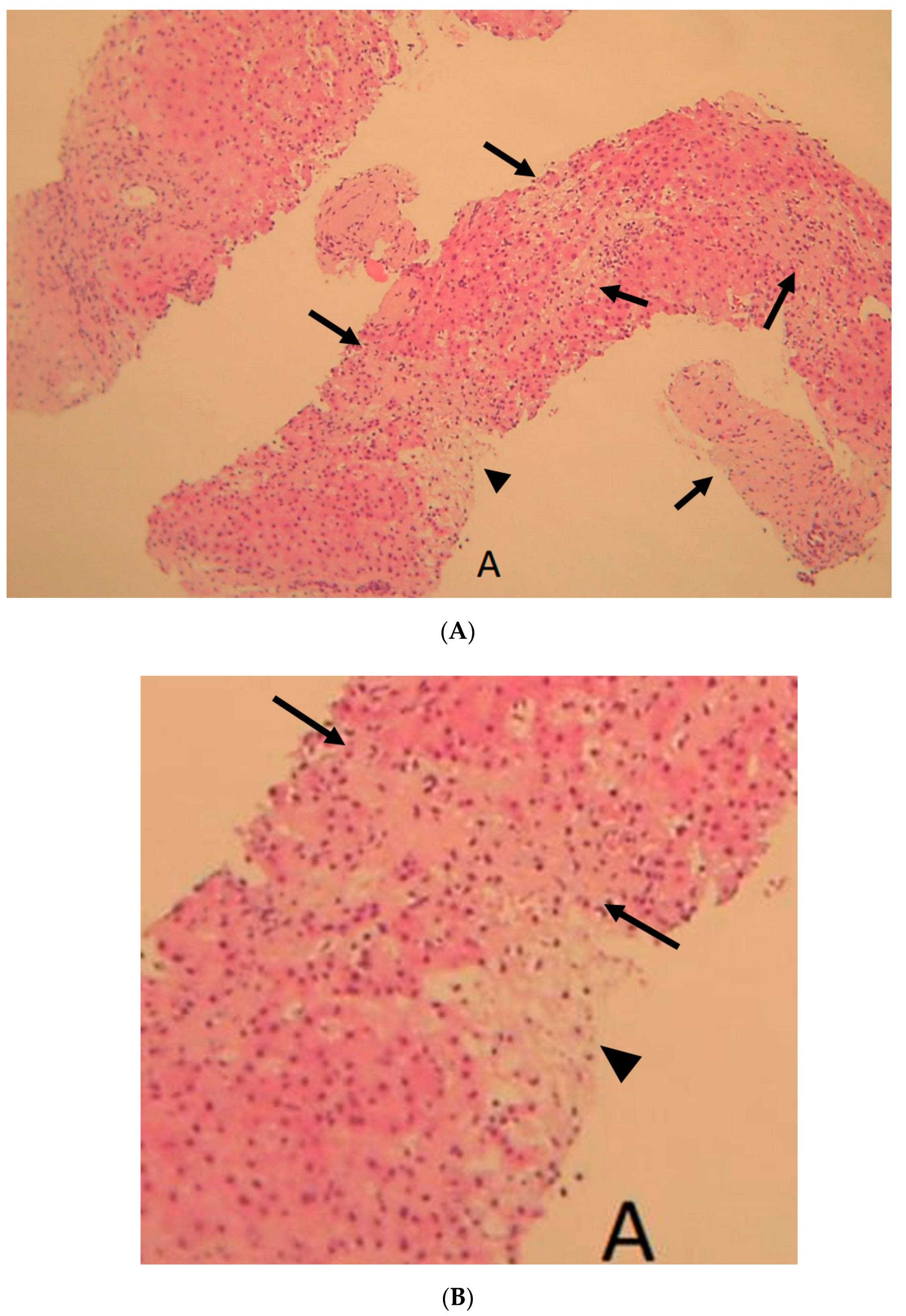 Diagnostics 12 01072 g005a