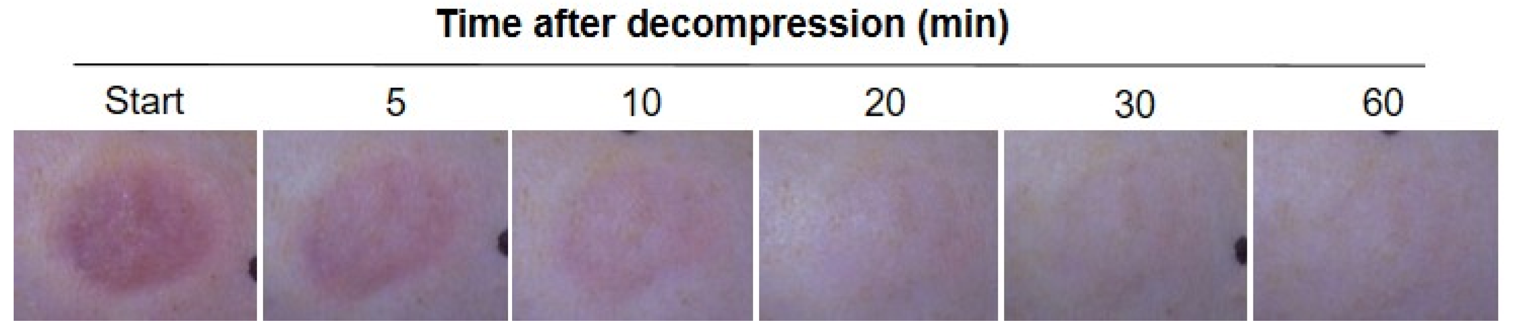 Diagnostics 12 01075 g001 550