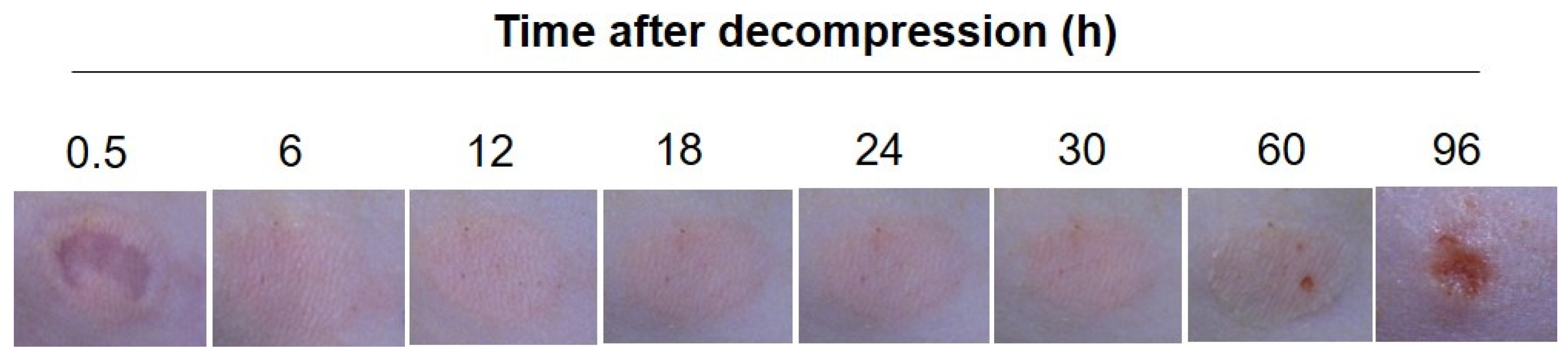 Diagnostics 12 01075 g003 550