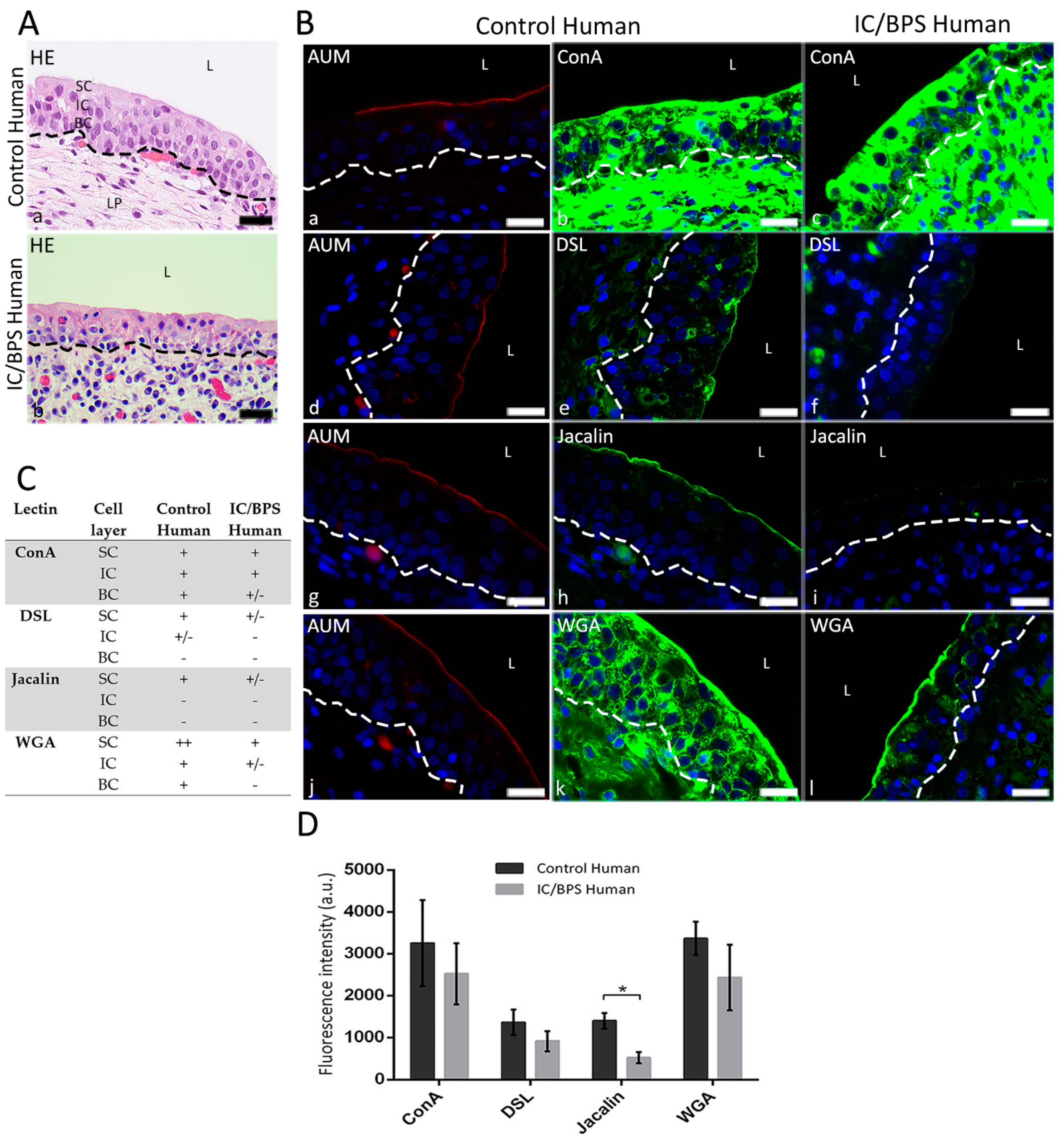Diagnostics 12 01078 g002 550