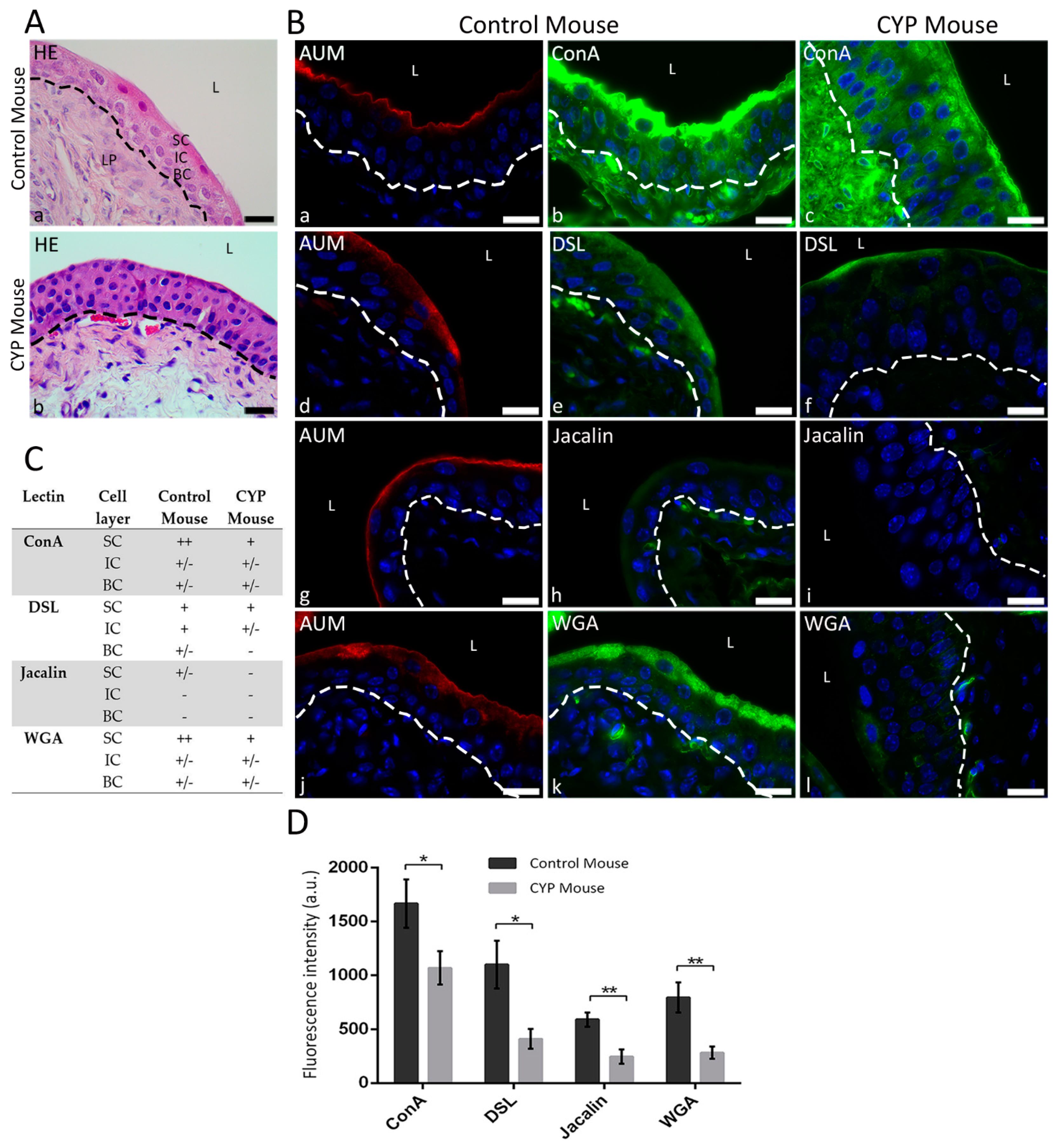 Diagnostics 12 01078 g003 550