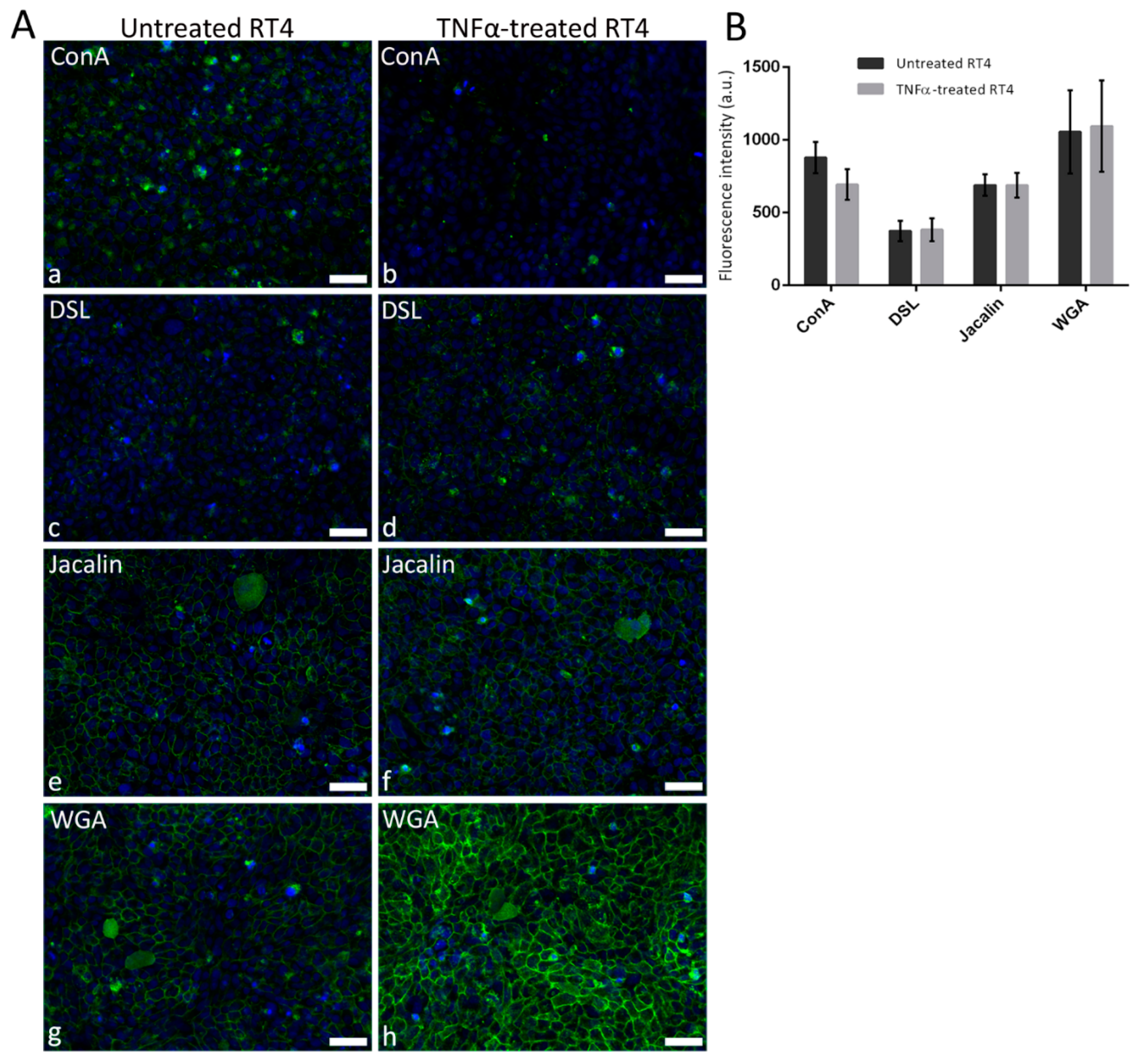 Diagnostics 12 01078 g004 550
