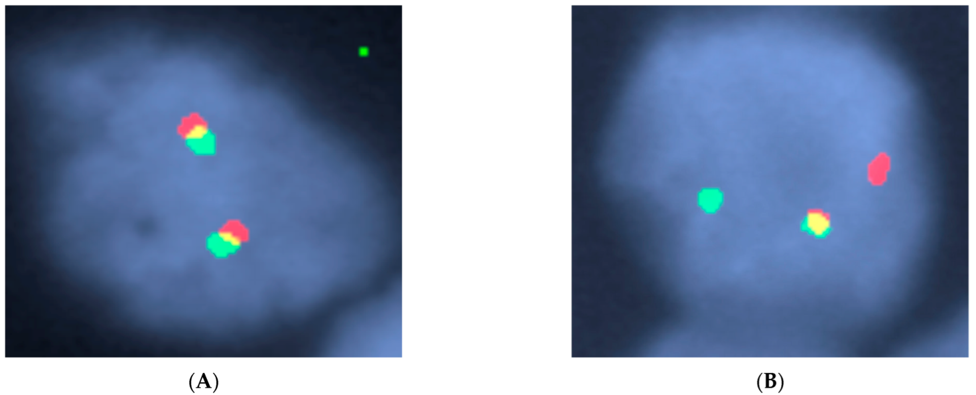 Diagnostics 12 01087 g006