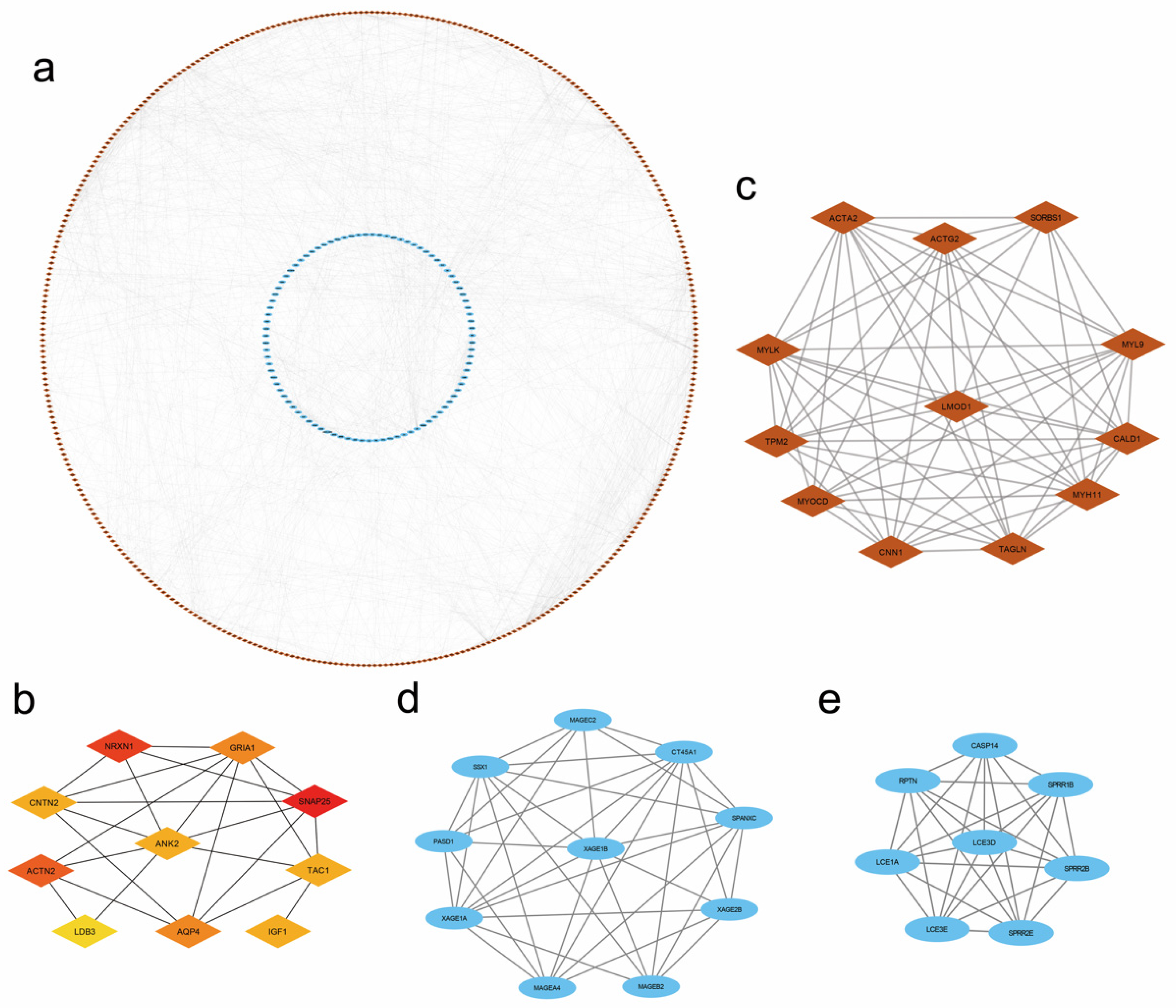 Diagnostics 12 01101 g005