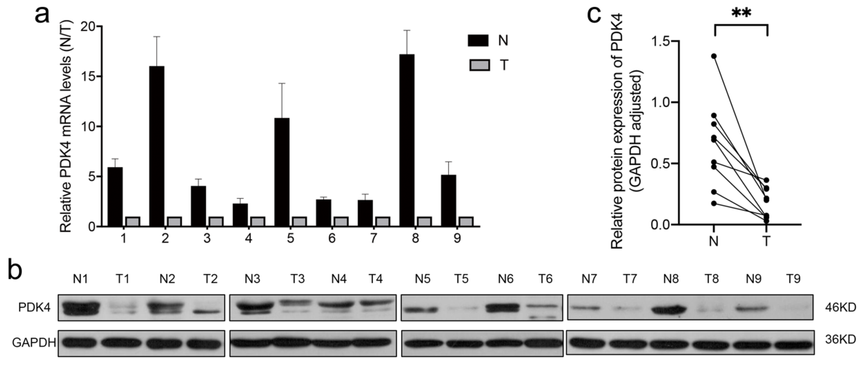 Diagnostics 12 01101 g007
