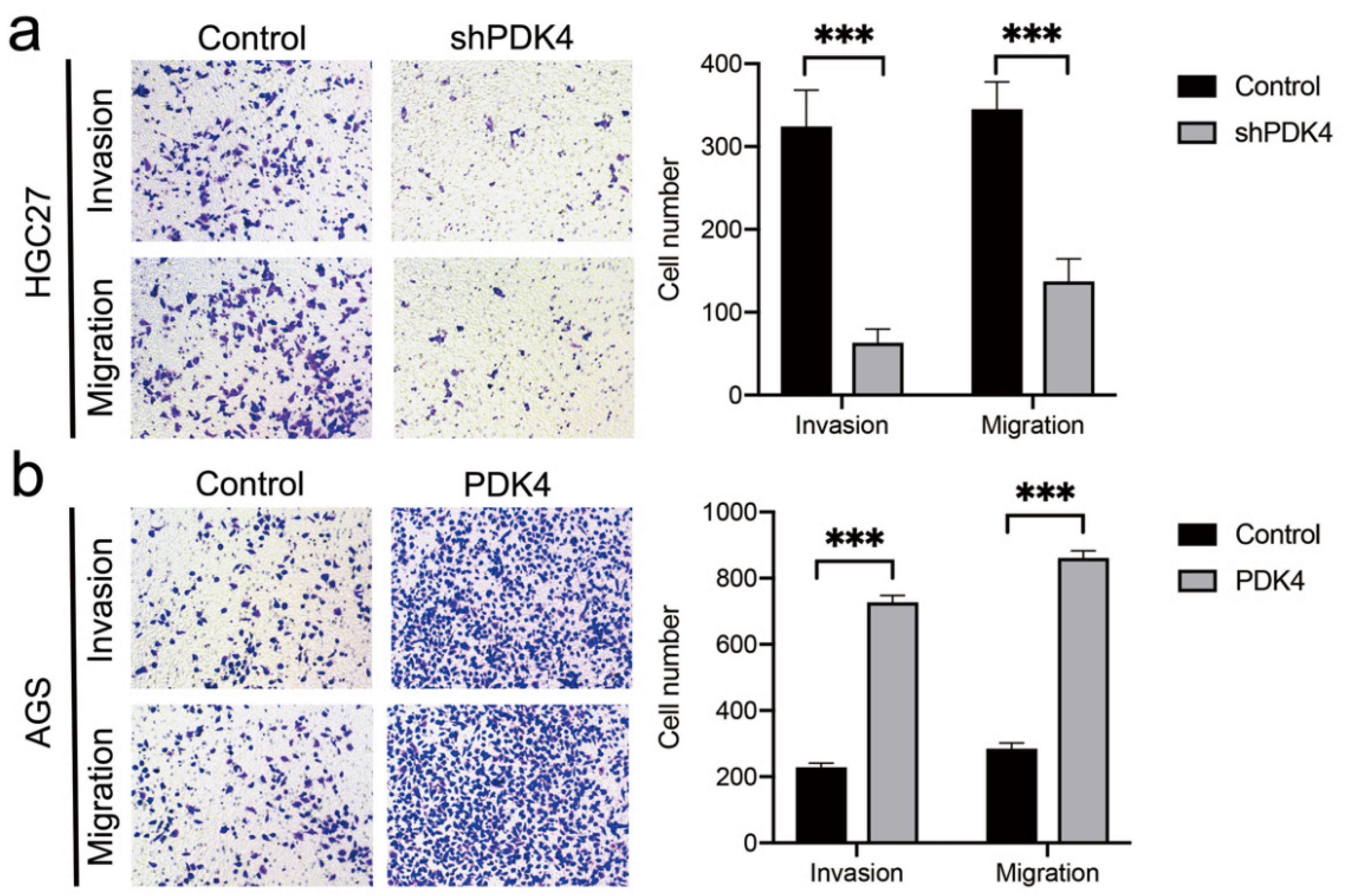 Diagnostics 12 01101 g011