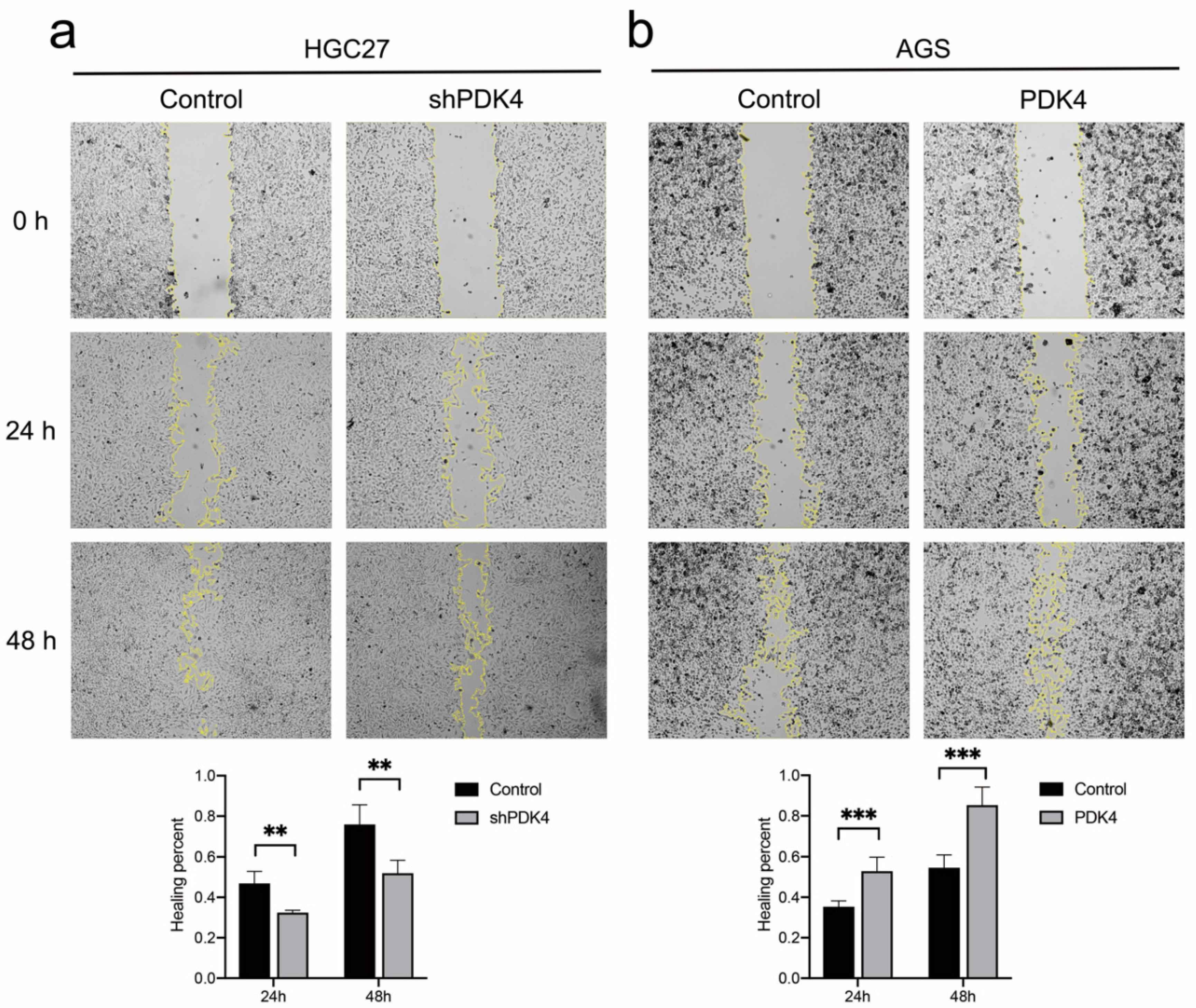 Diagnostics 12 01101 g012