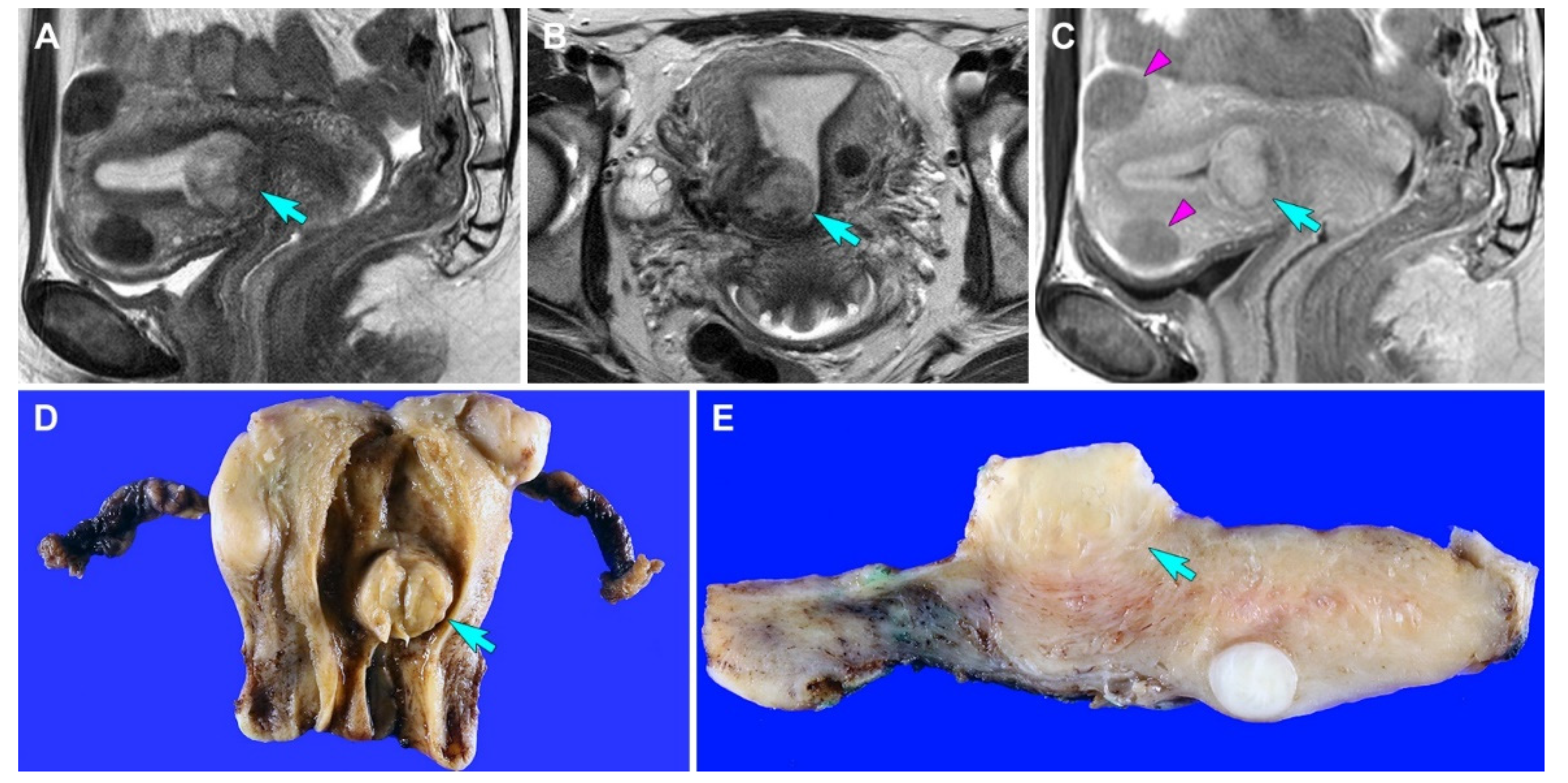 Diagnostics 12 01102 g001 550