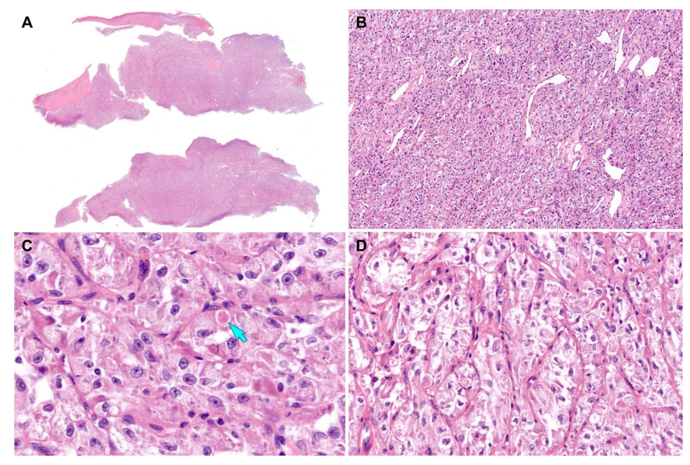 Diagnostics 12 01102 g005 550