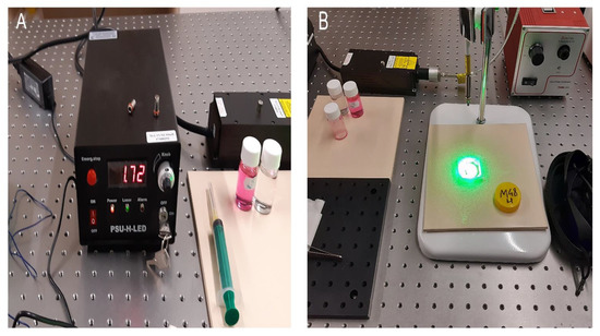 Photodynamic Therapy-Adjunctive Therapy in the Treatment of Prostate Cancer