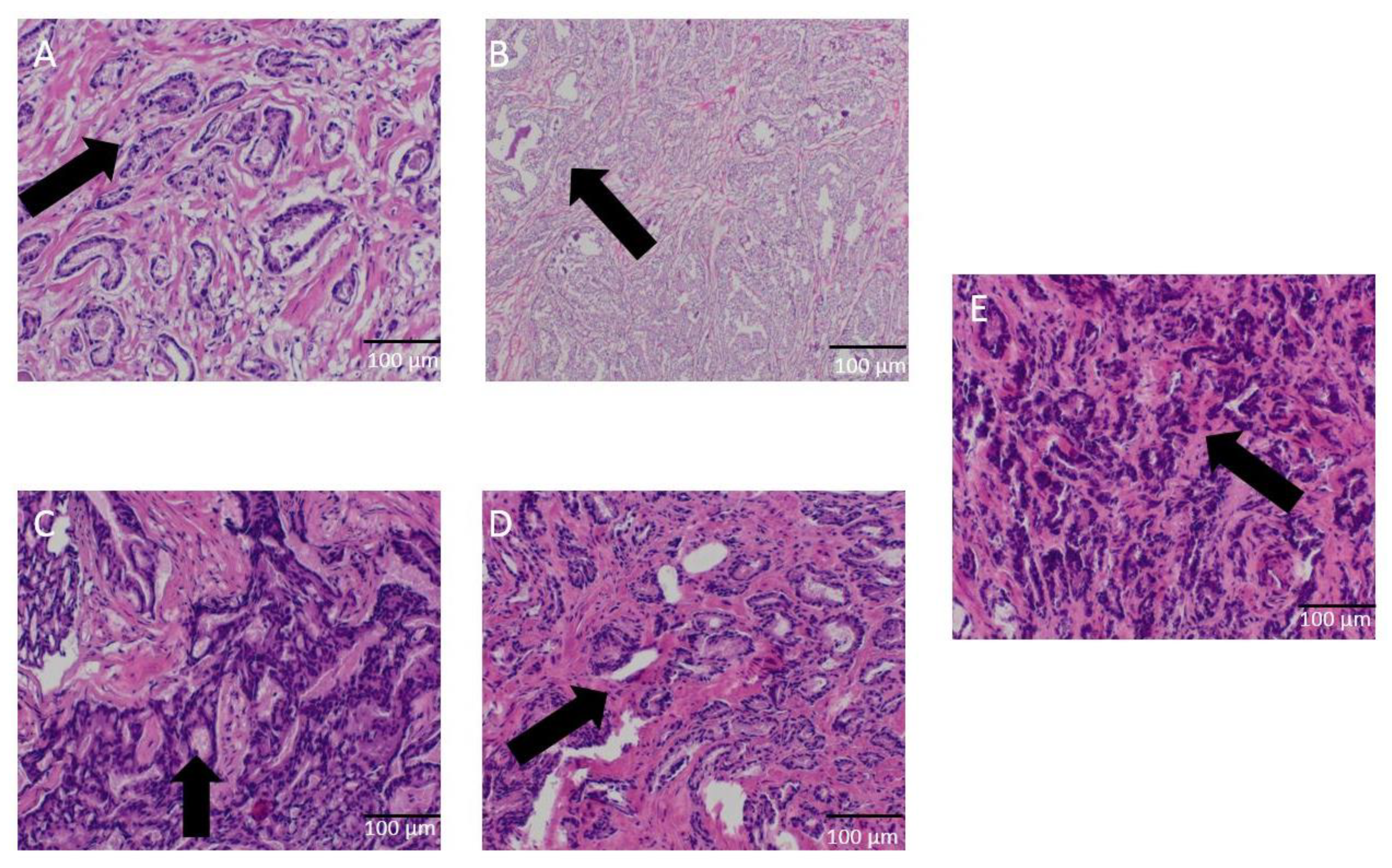 Diagnostics 12 01113 g004