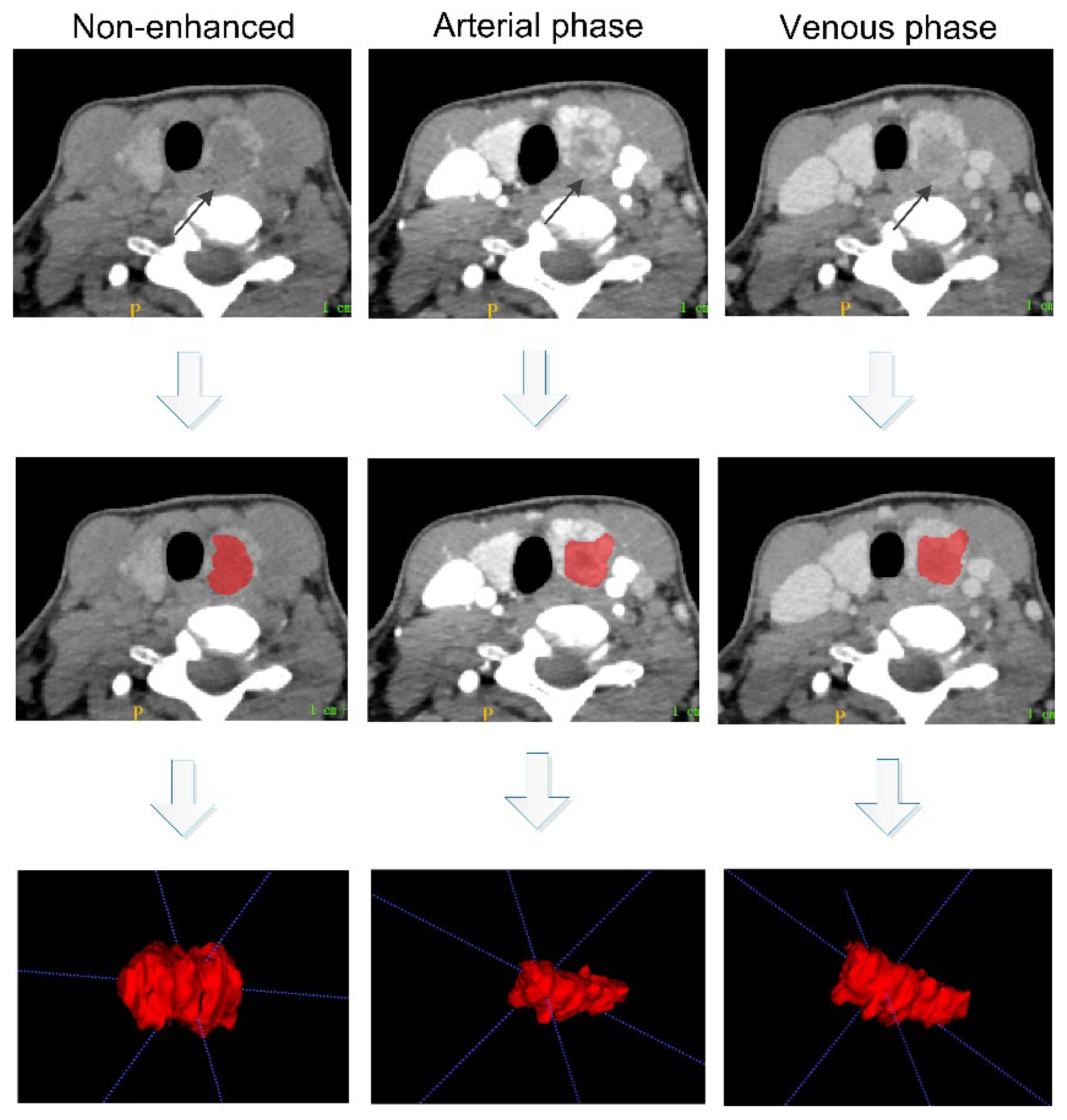Diagnostics 12 01119 g003