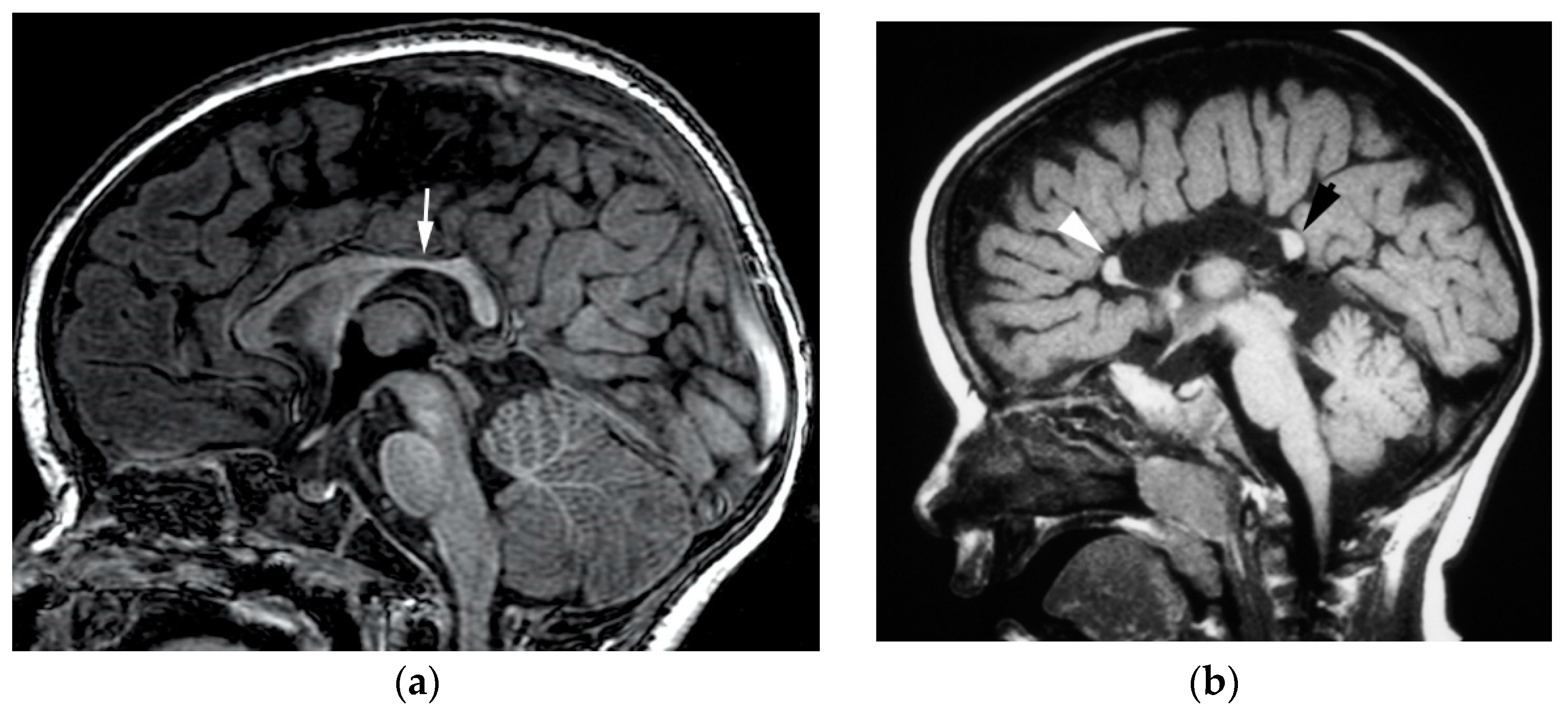 Diagnostics 12 01123 g006 550