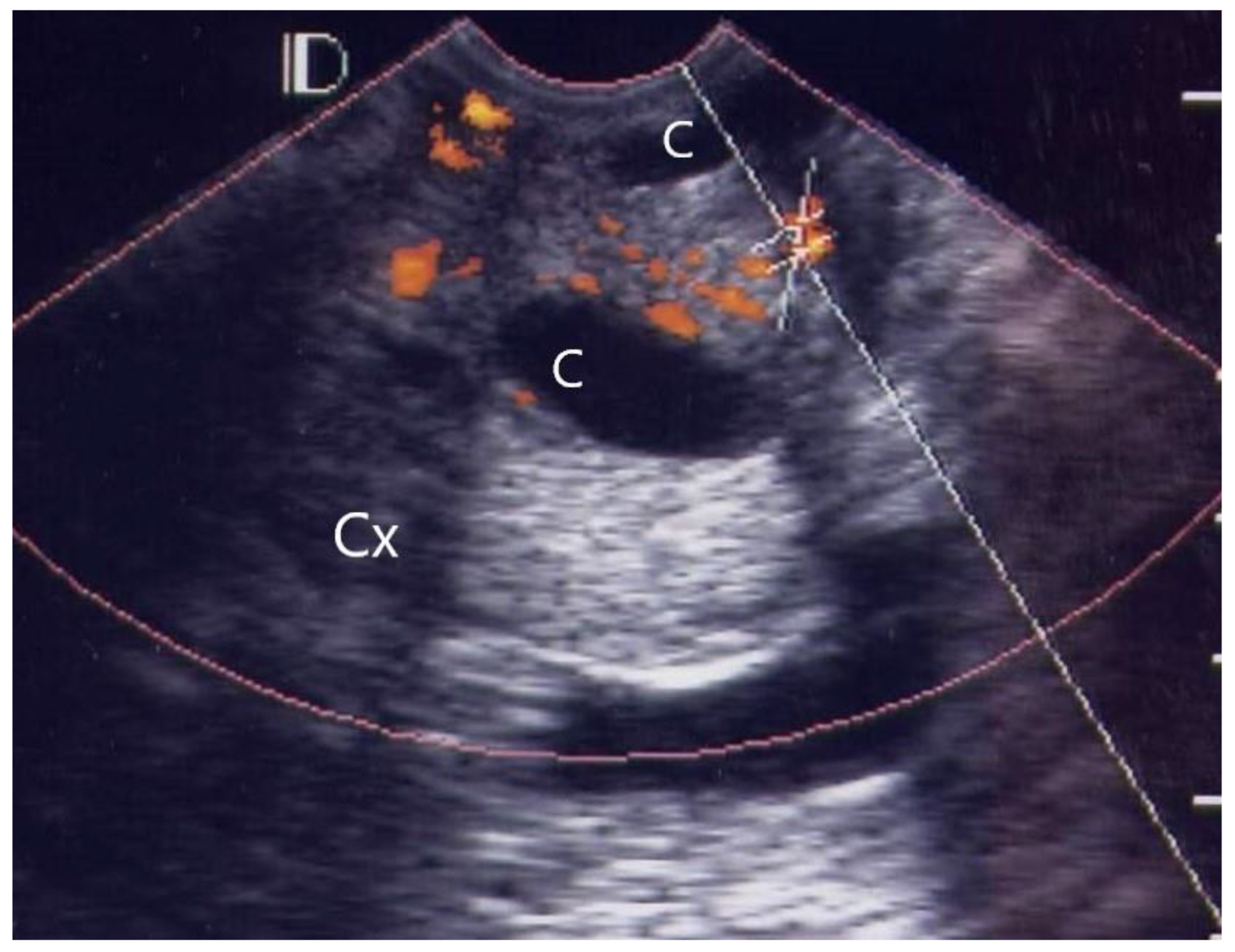 Diagnostics 12 01131 g002