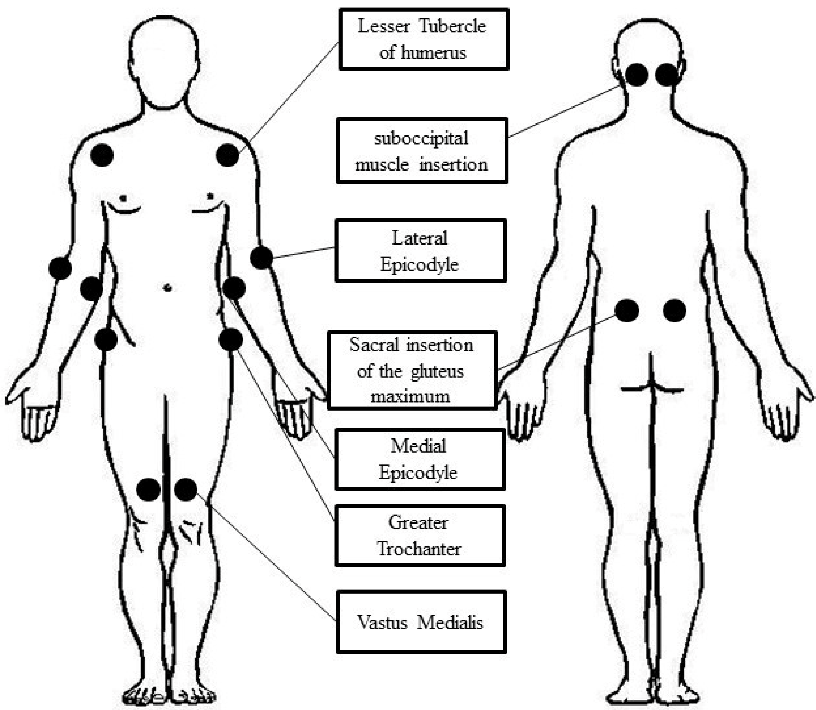 Diagnostics 12 01139 g001 550