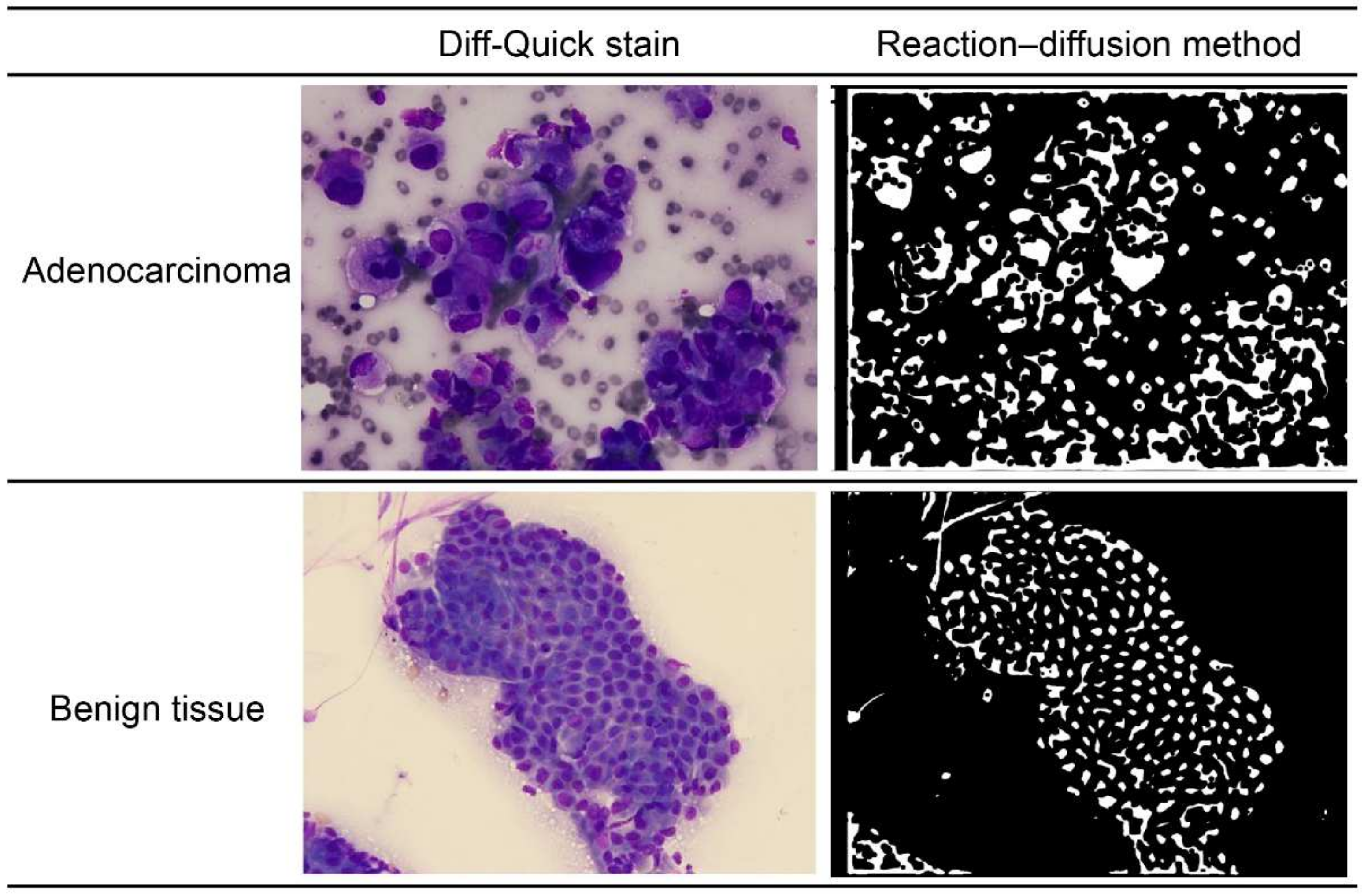 Diagnostics 12 01149 g001