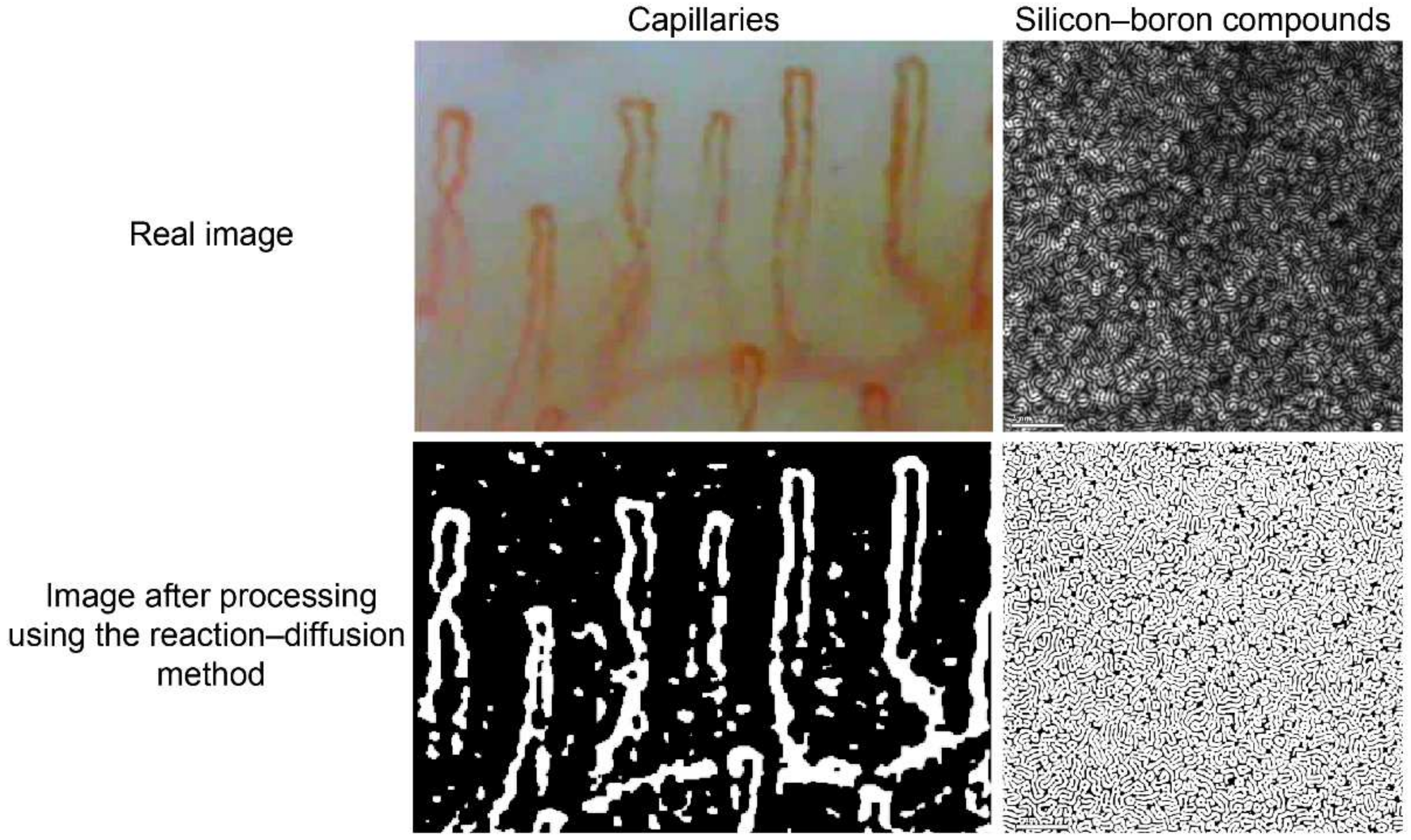 Diagnostics 12 01149 g003